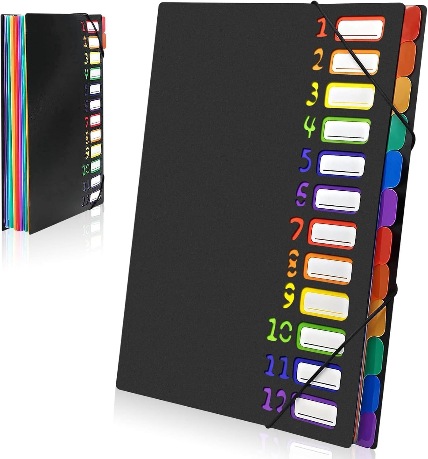 FOUORTUNATE-BEE Fächermappe Fächermappe A4, Mappen Ordnersystem (mit 12 Fäc günstig online kaufen