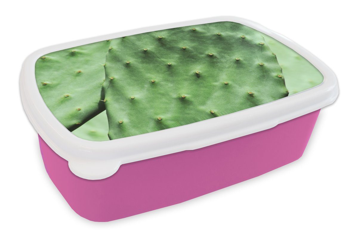 MuchoWow Lunchbox Barbary Kaktus Blatt Minze grün, Kunststoff, (2-tlg), Brotbox für Erwachsene, Brotdose Kinder, Snackbox, Mädchen, Kunststoff rosa