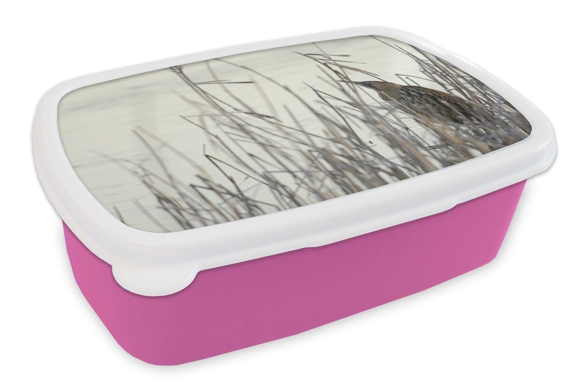 MuchoWow Lunchbox Eine Rohrdommel am Rande eines zugefrorenen Sees, Kunststoff, (2-tlg), Brotbox für Erwachsene, Brotdose Kinder, Snackbox, Mädchen, Kunststoff rosa