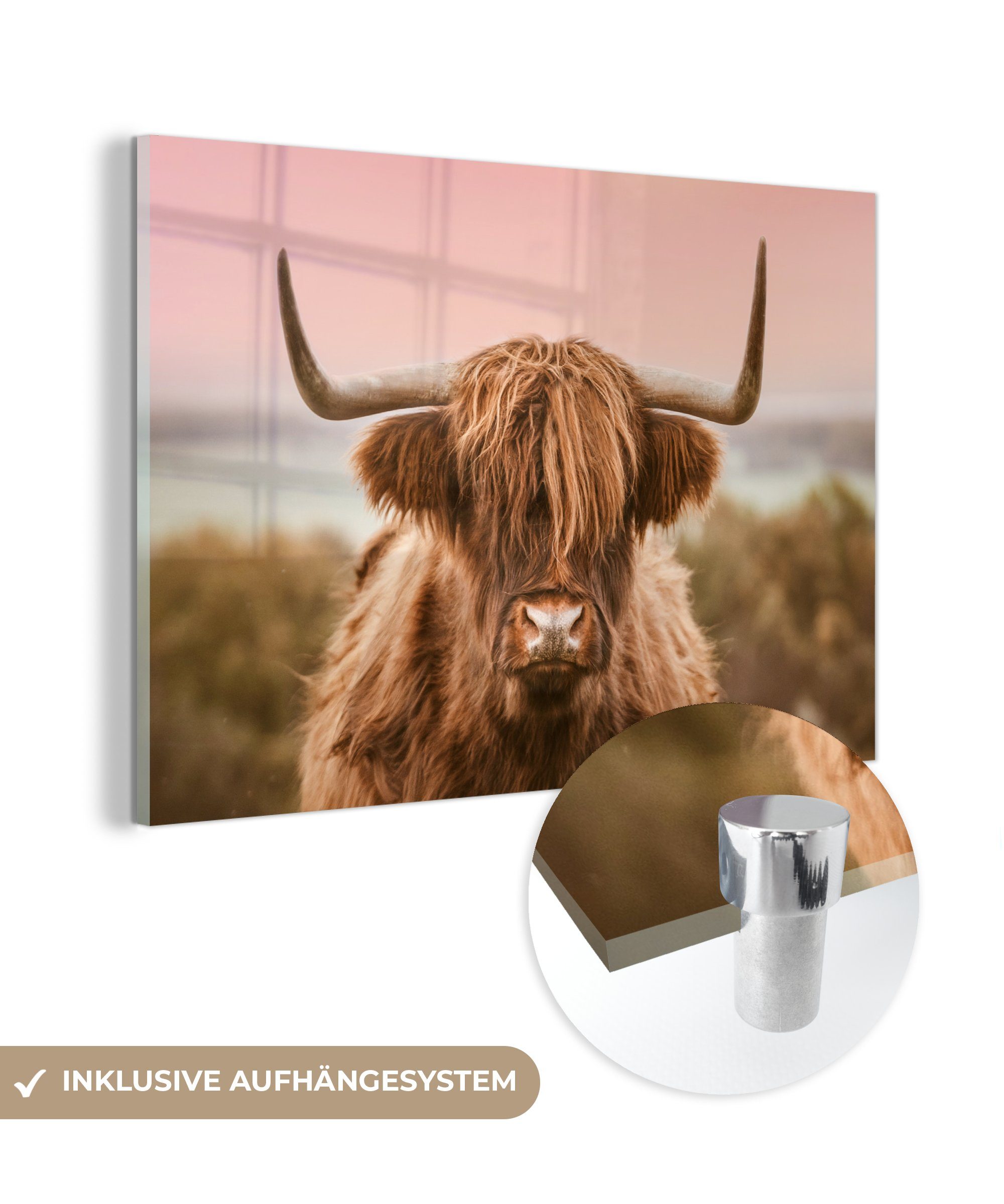 Schottischer Kuh Glas Highlander auf Wandbild auf Acrylglasbild - - - Glas Glasbilder - - Wanddekoration (1 Bilder St), Tier, MuchoWow Foto