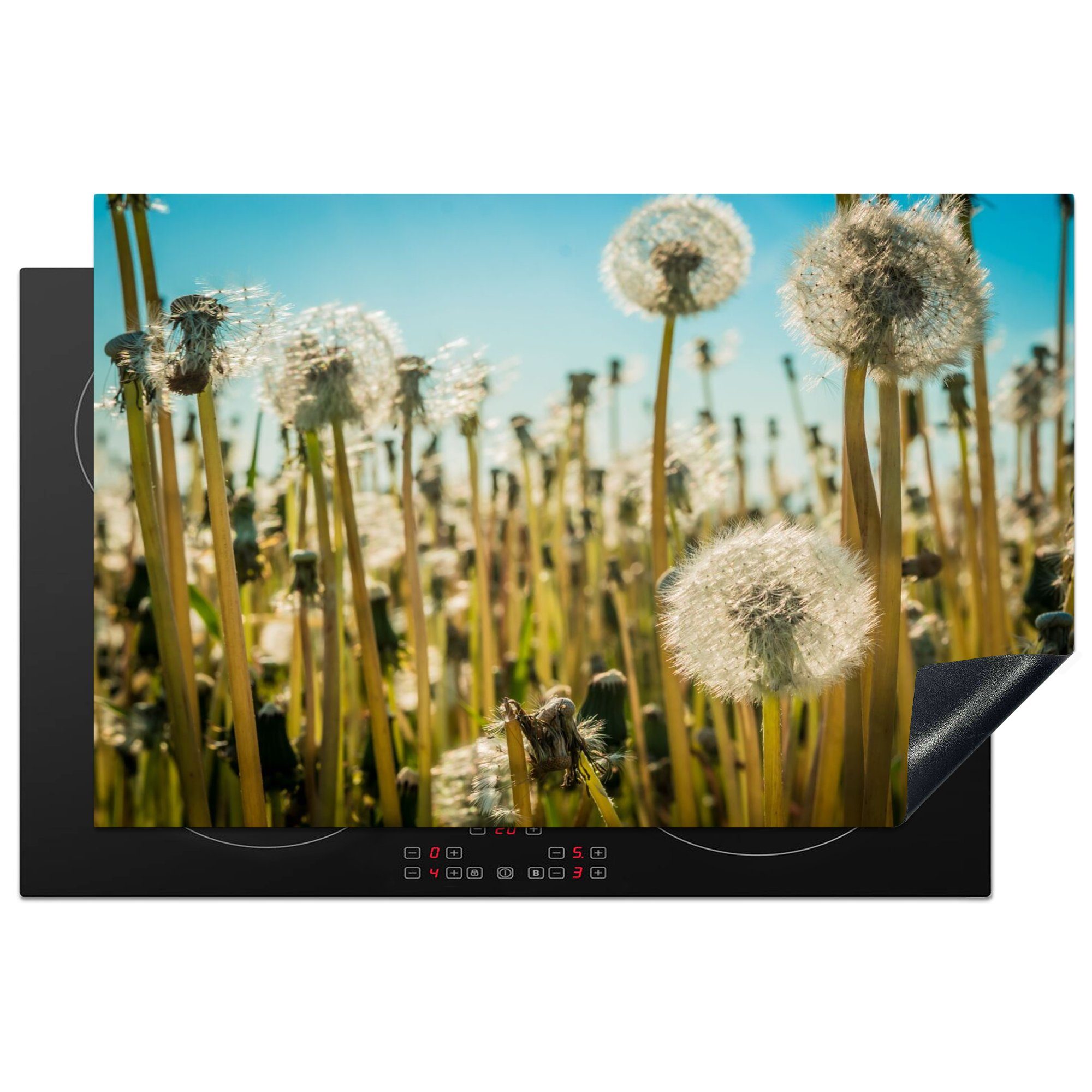 MuchoWow Herdblende-/Abdeckplatte Blumen - Löwenzahn - Gras, Vinyl, (1 tlg), 81x52 cm, Ceranfeldabdeckung, Arbeitsplatte für küche