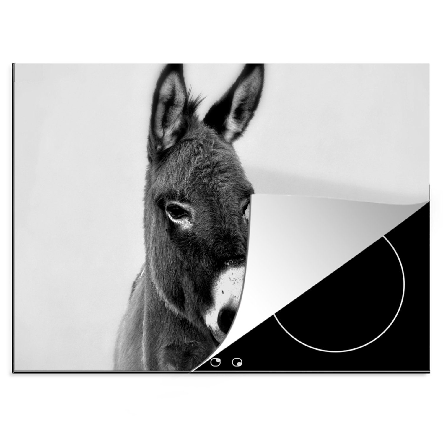 MuchoWow Herdblende-/Abdeckplatte Esel in Schwarz und Weiß, Vinyl, (1 tlg), 70x52 cm, Mobile Arbeitsfläche nutzbar, Ceranfeldabdeckung