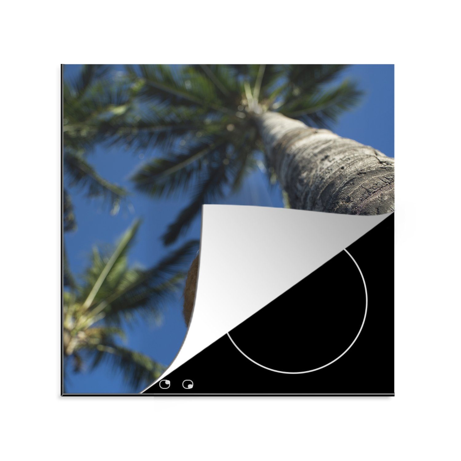 MuchoWow Herdblende-/Abdeckplatte Reife Kokosnuss fällt von der Palme in perlweißen Sand, Vinyl, (1 tlg), 78x78 cm, Ceranfeldabdeckung, Arbeitsplatte für küche