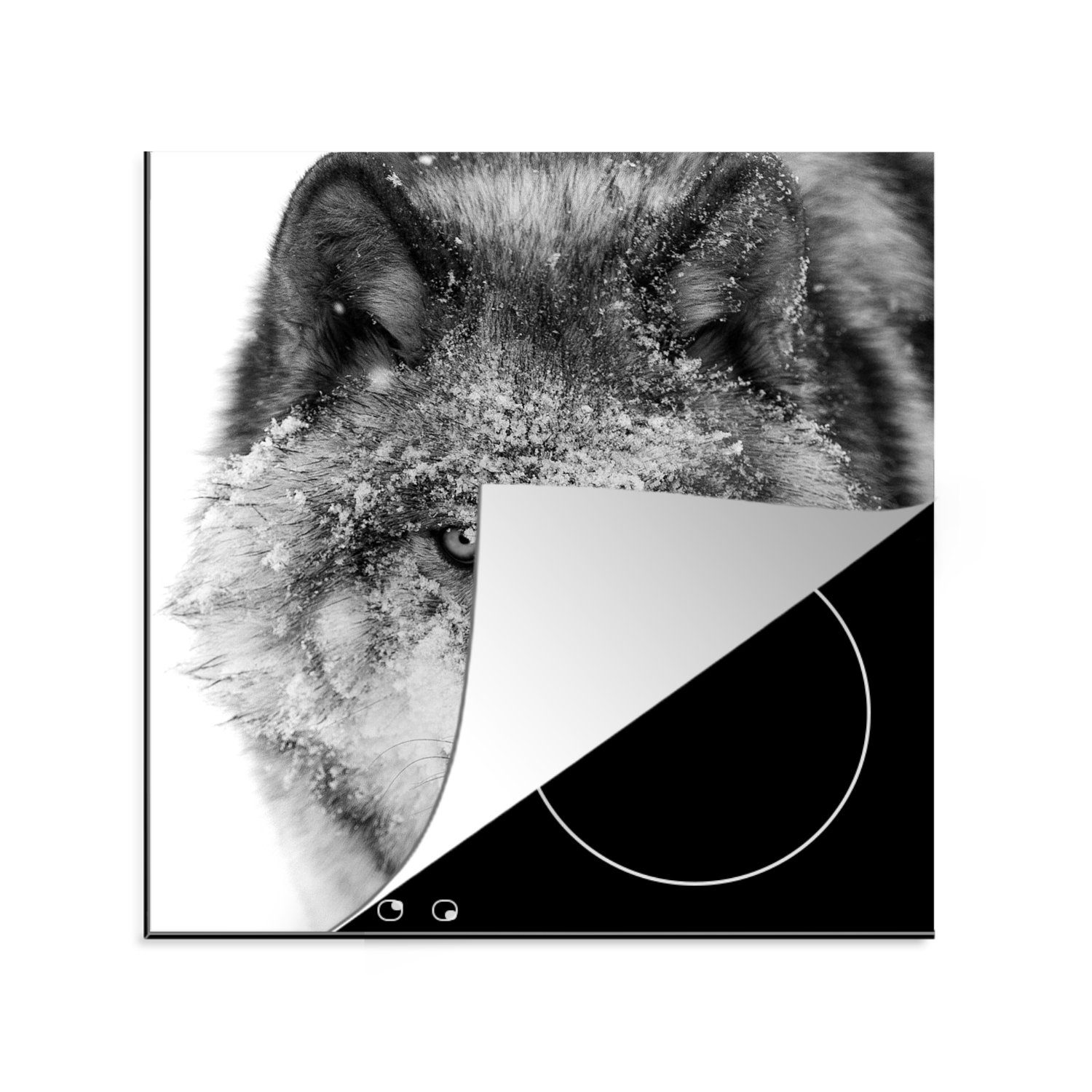 mit tlg), schwarz-weiß, MuchoWow Arbeitsplatte Wolf Kopf in Ceranfeldabdeckung, küche verschneitem 78x78 Vinyl, für Herdblende-/Abdeckplatte (1 cm,