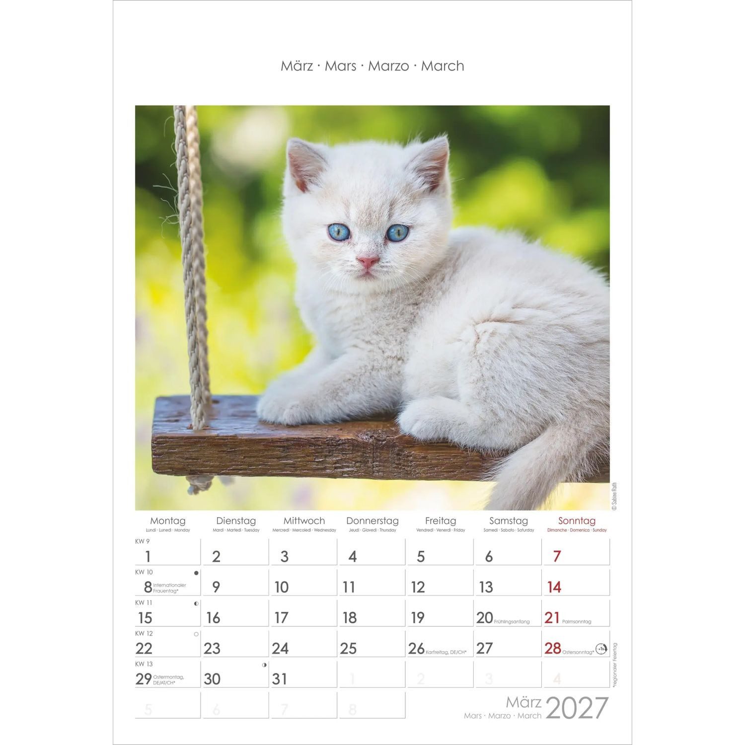 NEUMANN Wandkalender Katzen 2027