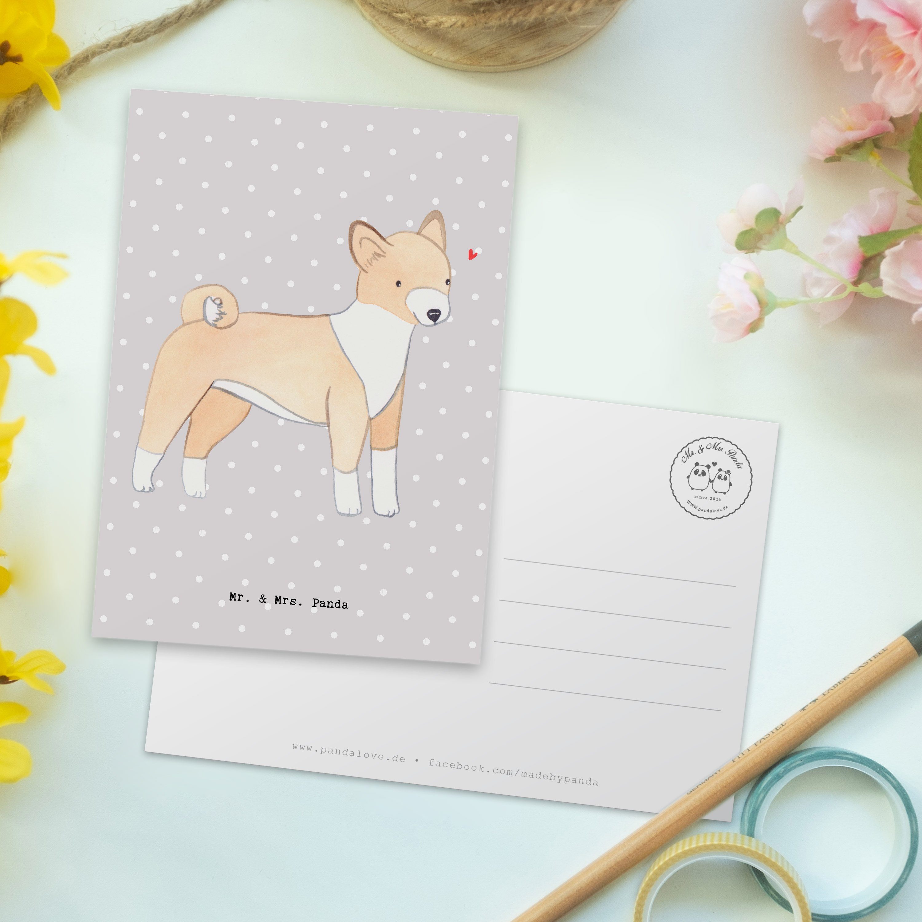 Panda Mrs. Pastell Basenji Kart - Hund, Mr. Postkarte & Grußkarte, Geschenk, Grau - Lebensretter