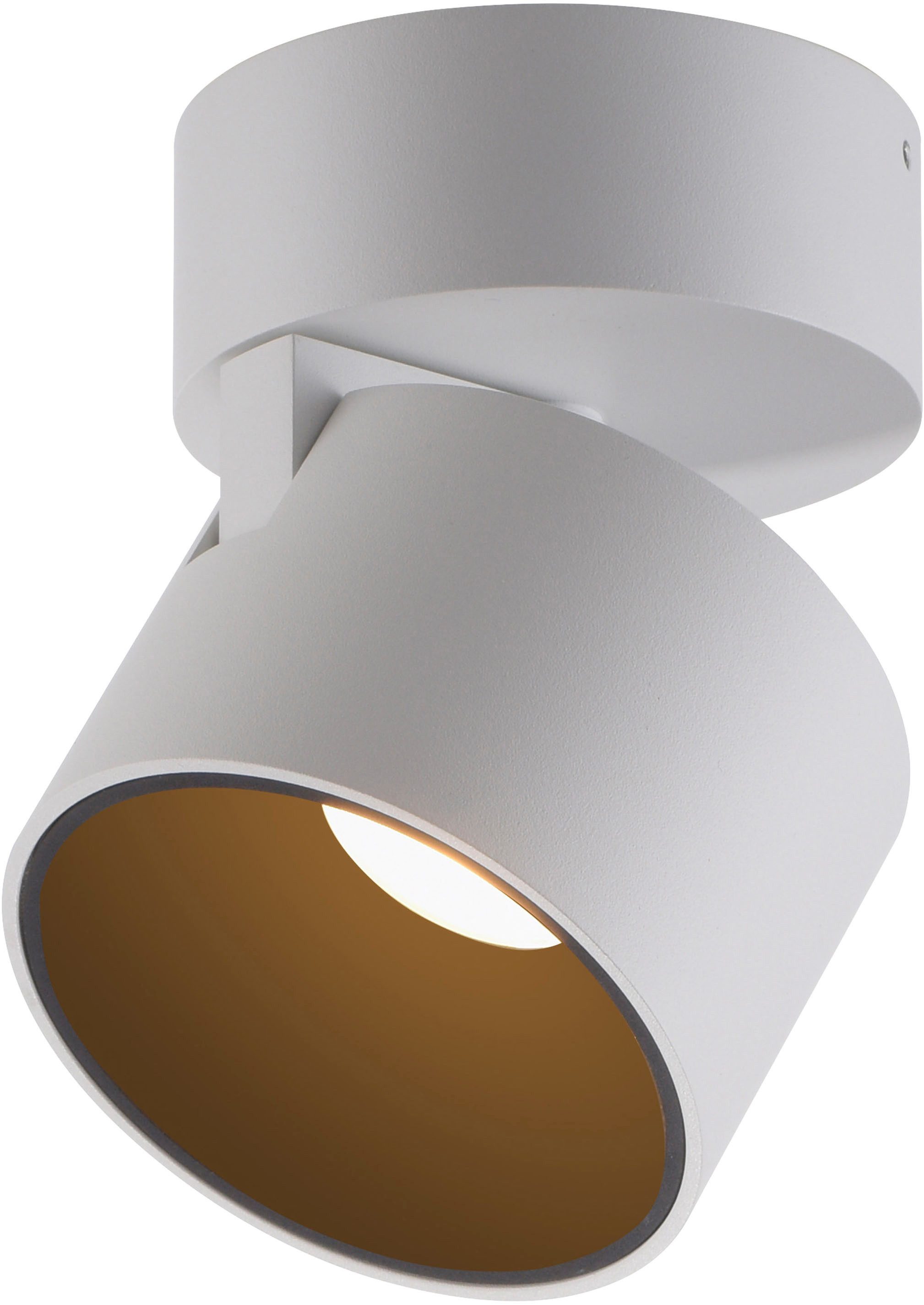 Neuhaus PURE LED Deckenleuchte PURE Cup, LED fest integriert, Warmweiß, Dimmfähig über separaten Tronicdimmer, dreh- & schwenkbar