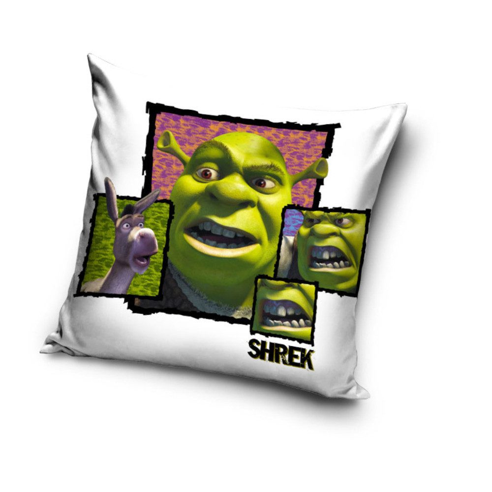 DreamWorks Dekokissen Shrek Kissen Dekokissen 40 x 40 cm