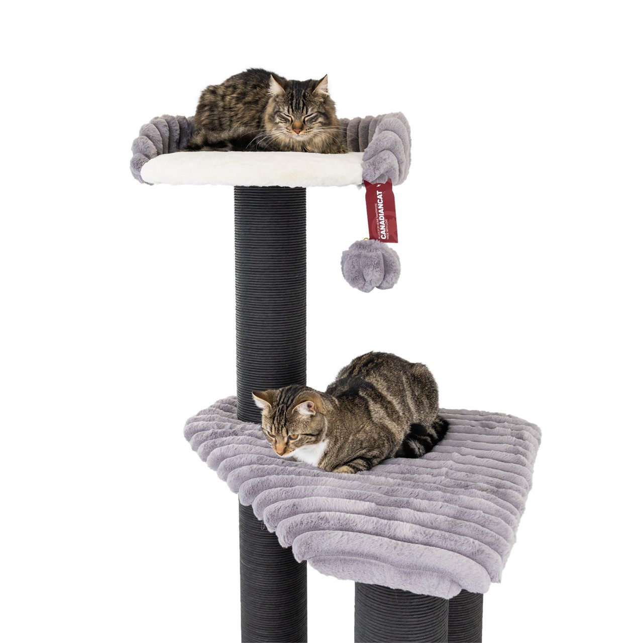 Canadian Cat Company Kratzbaum Brandon, Katzenmöbel, Kletterturm, grau, 68 x 68 x 170 cm