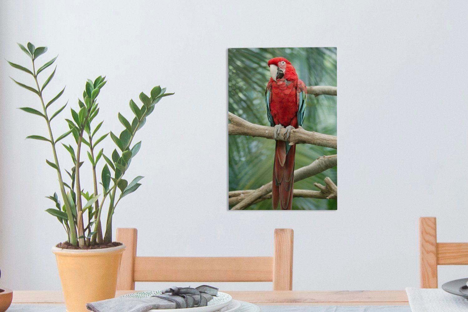 Leinwandbild fertig Leinwandbild auf 20x30 Kuba-Papagei Gemälde, OneMillionCanvasses® inkl. (1 cm einem bespannt Zackenaufhänger, sitzend, St), Ast