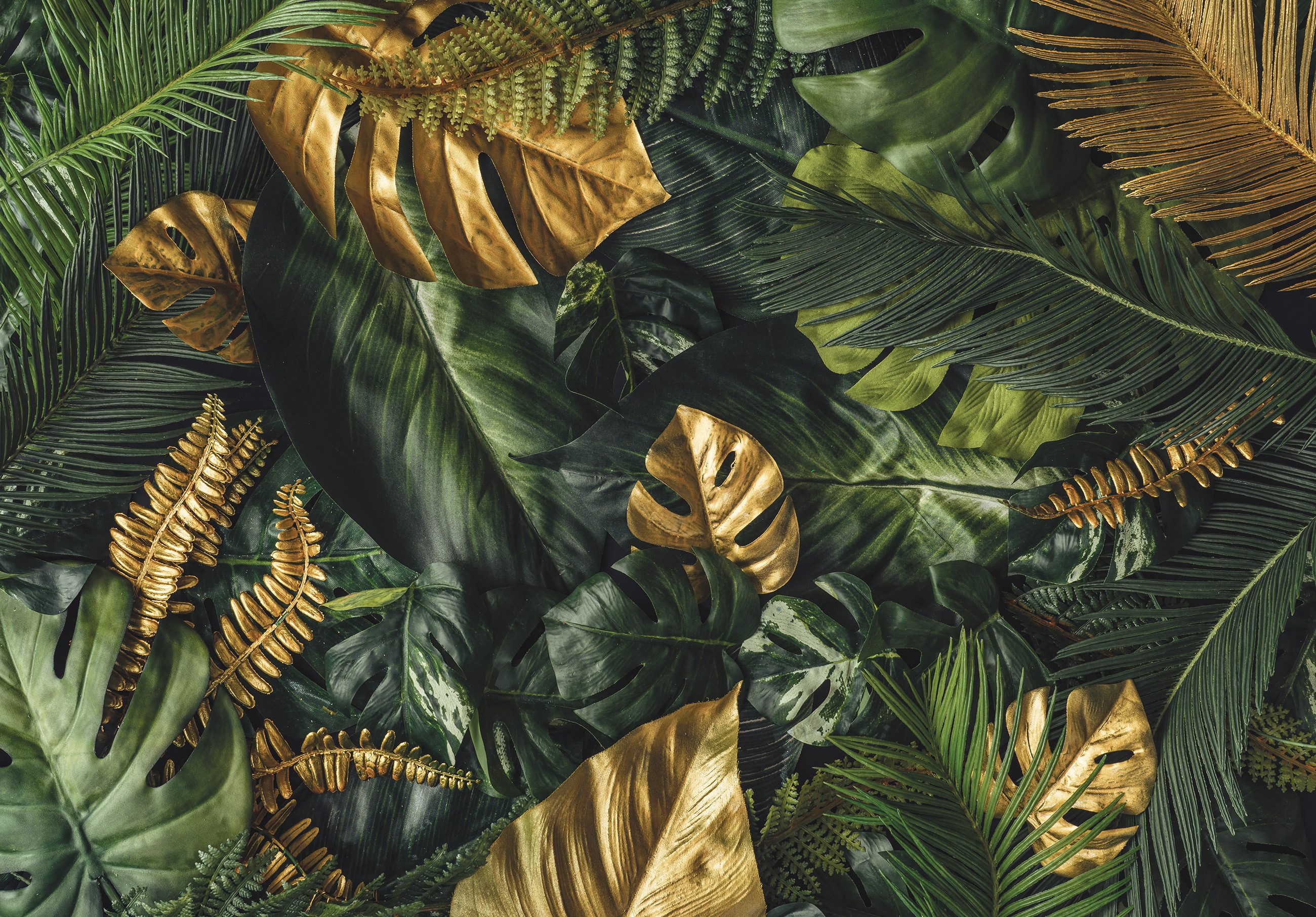Wallarena Fototapete Blätter Monstera Gold Grün günstig online kaufen