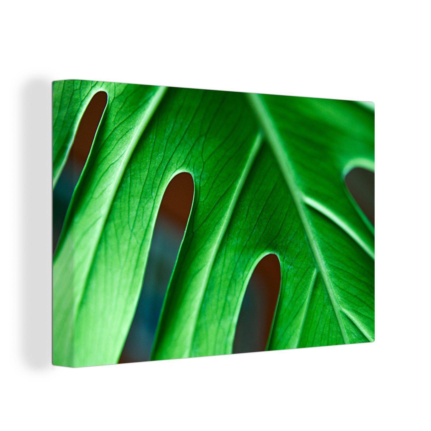 OneMillionCanvasses® Leinwandbild Lebendige botanische Blätter, (1 St), Wandbild Leinwandbilder, Aufhängefertig, Wanddeko, 30x20 cm