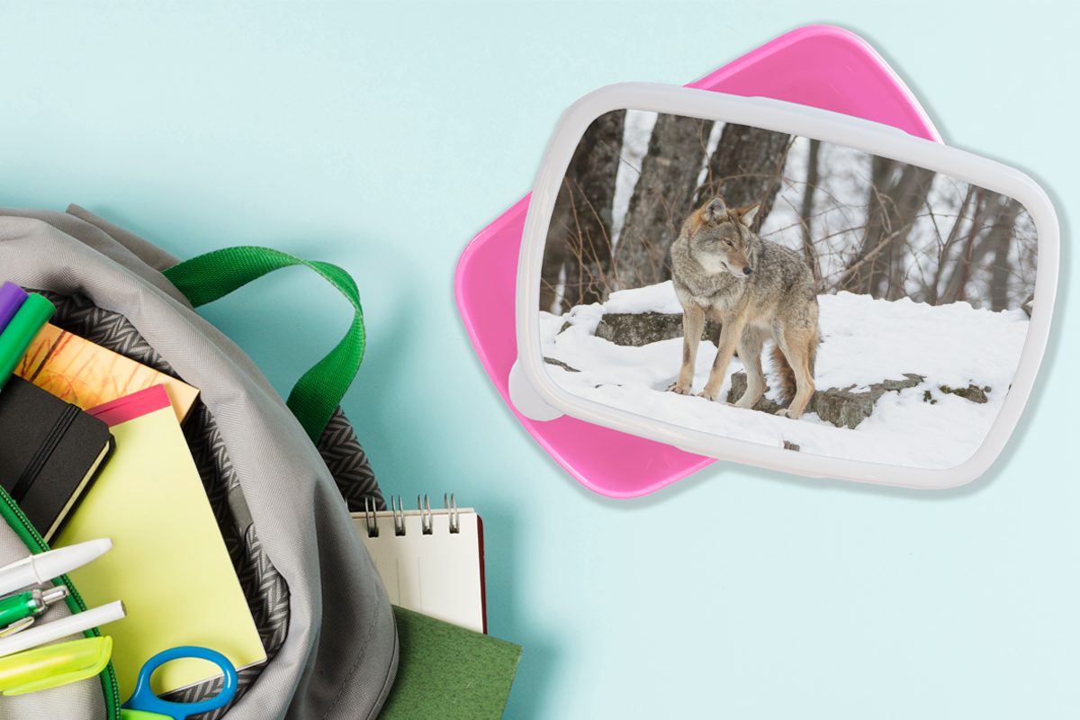 Mädchen, Lunchbox für Kinder, - (2-tlg), Schnee Wolf - Brotdose Snackbox, MuchoWow Kunststoff Erwachsene, Kunststoff, Brotbox rosa Wald,