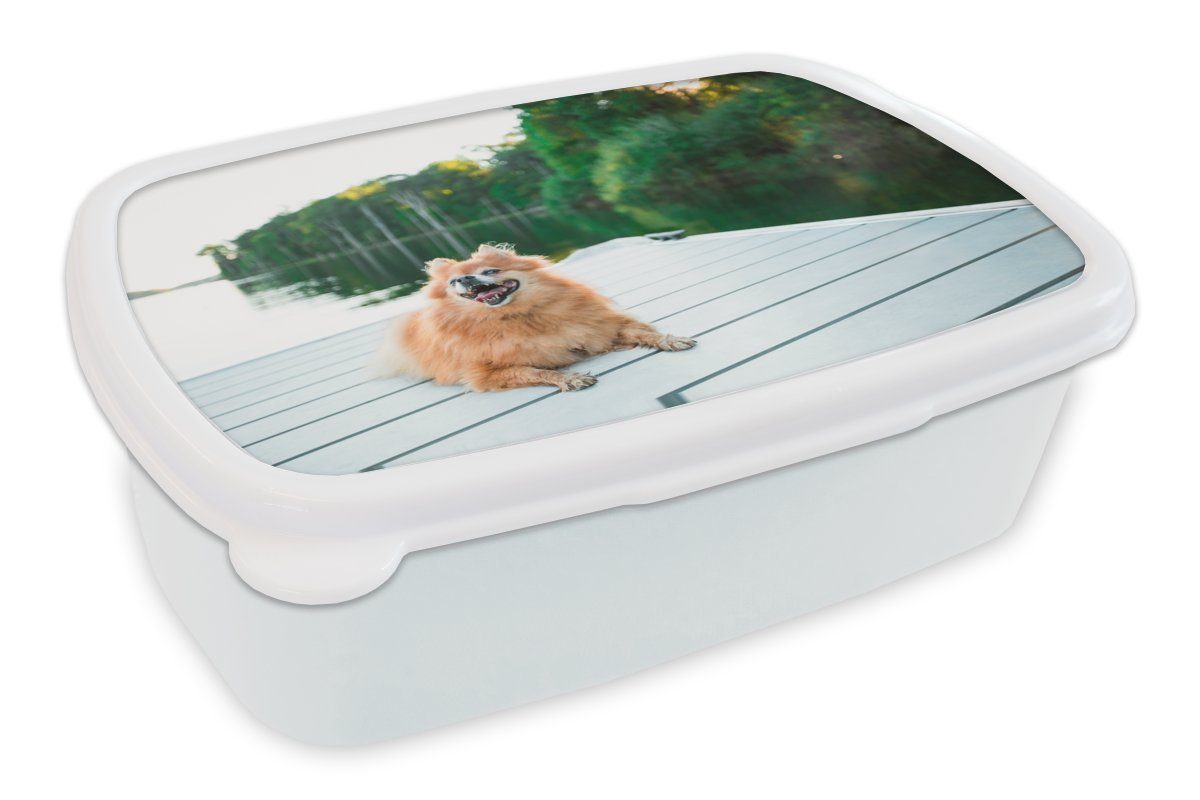 MuchoWow Lunchbox Pomeranian liegend auf Steg, Kunststoff, (2-tlg), Brotbox für Kinder und Erwachsene, Brotdose, für Jungs und Mädchen weiß