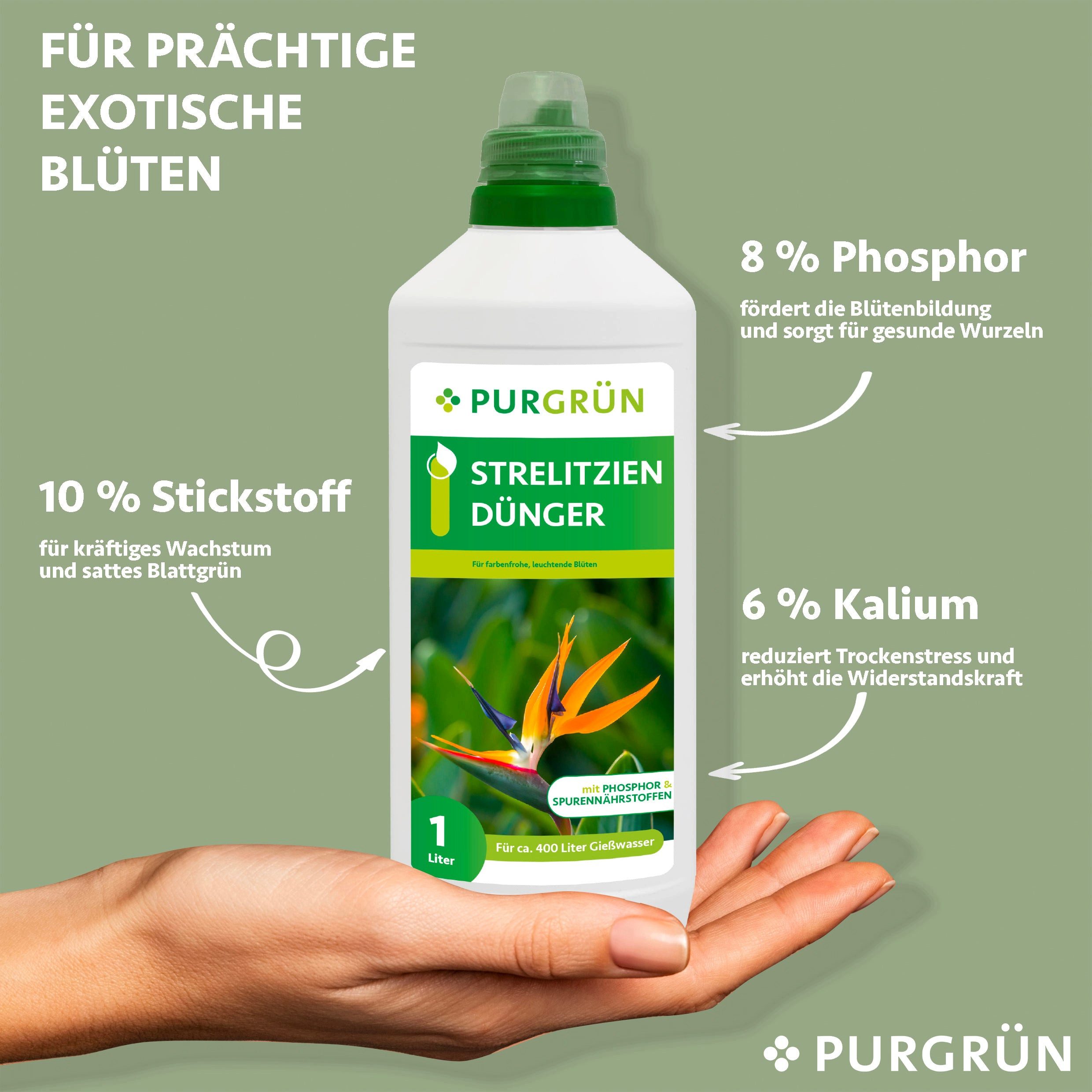 Thumbnail - Purgrün Blumendünger Purgrün Strelitzien Dünger, NPK 10+8+6, für prächtige Blüten, 1L, Flüssigdünger, Schnelle Wirkung f...