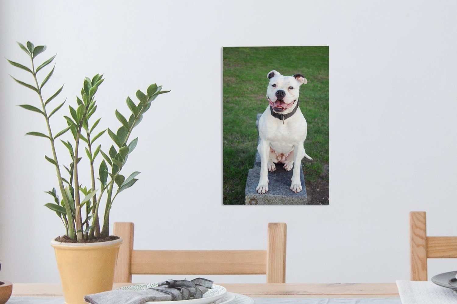 St), cm inkl. OneMillionCanvasses® 20x30 Bulldogge Leinwandbild Gemälde, Hund, Leinwandbild Zackenaufhänger, (1 bespannt - Gras fertig -