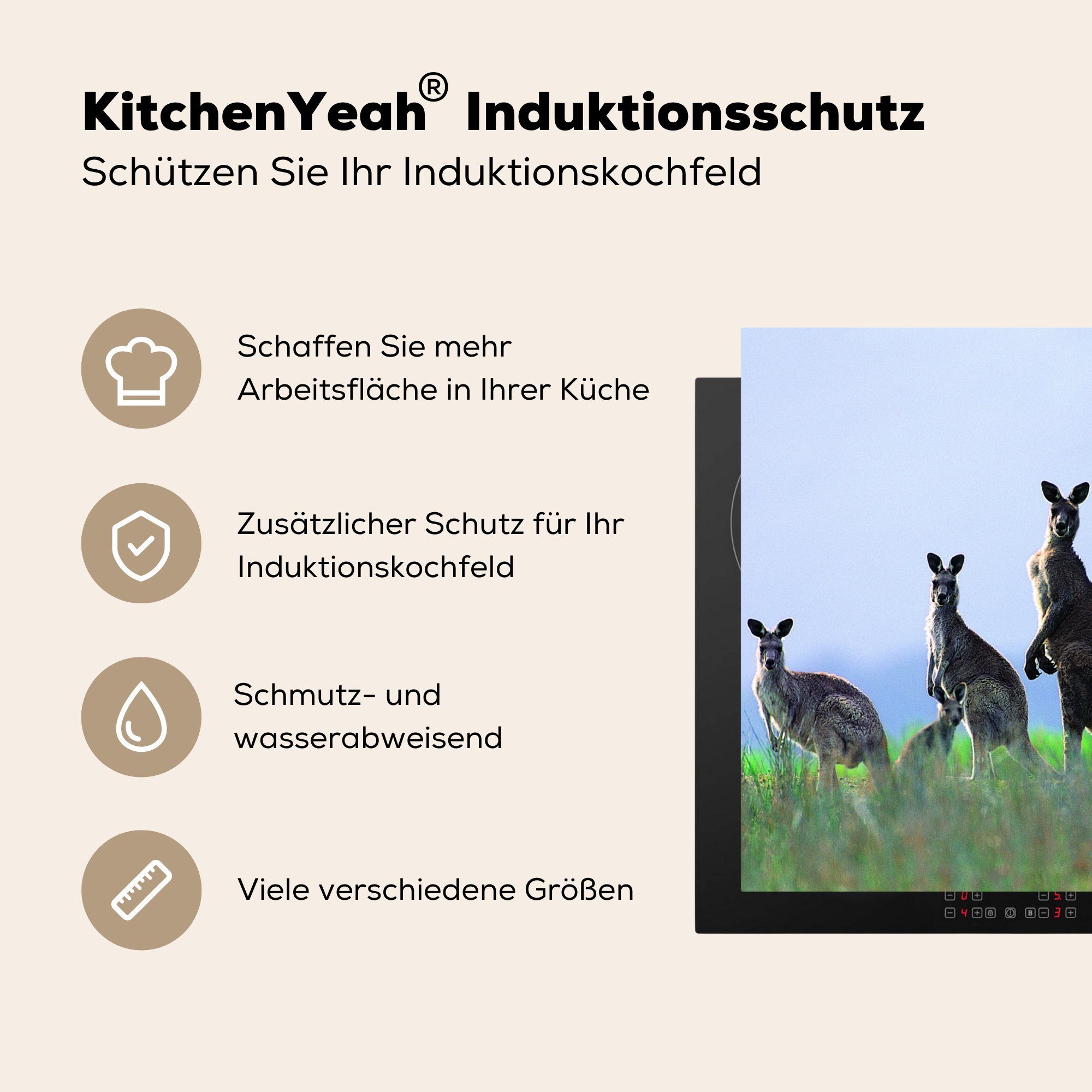 cm, 78x78 Känguru Tiere Arbeitsplatte küche Gras, Herdblende-/Abdeckplatte MuchoWow Vinyl, tlg), - (1 Ceranfeldabdeckung, für -
