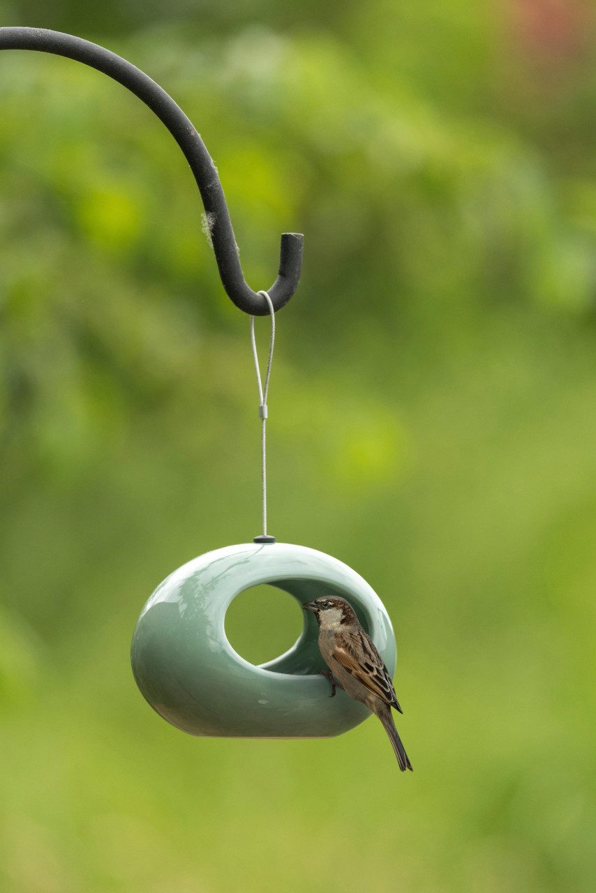 Wildlife Vogelkäfig Wildlife Hängende Wasserschale Selo grün 12 x 16 x günstig online kaufen