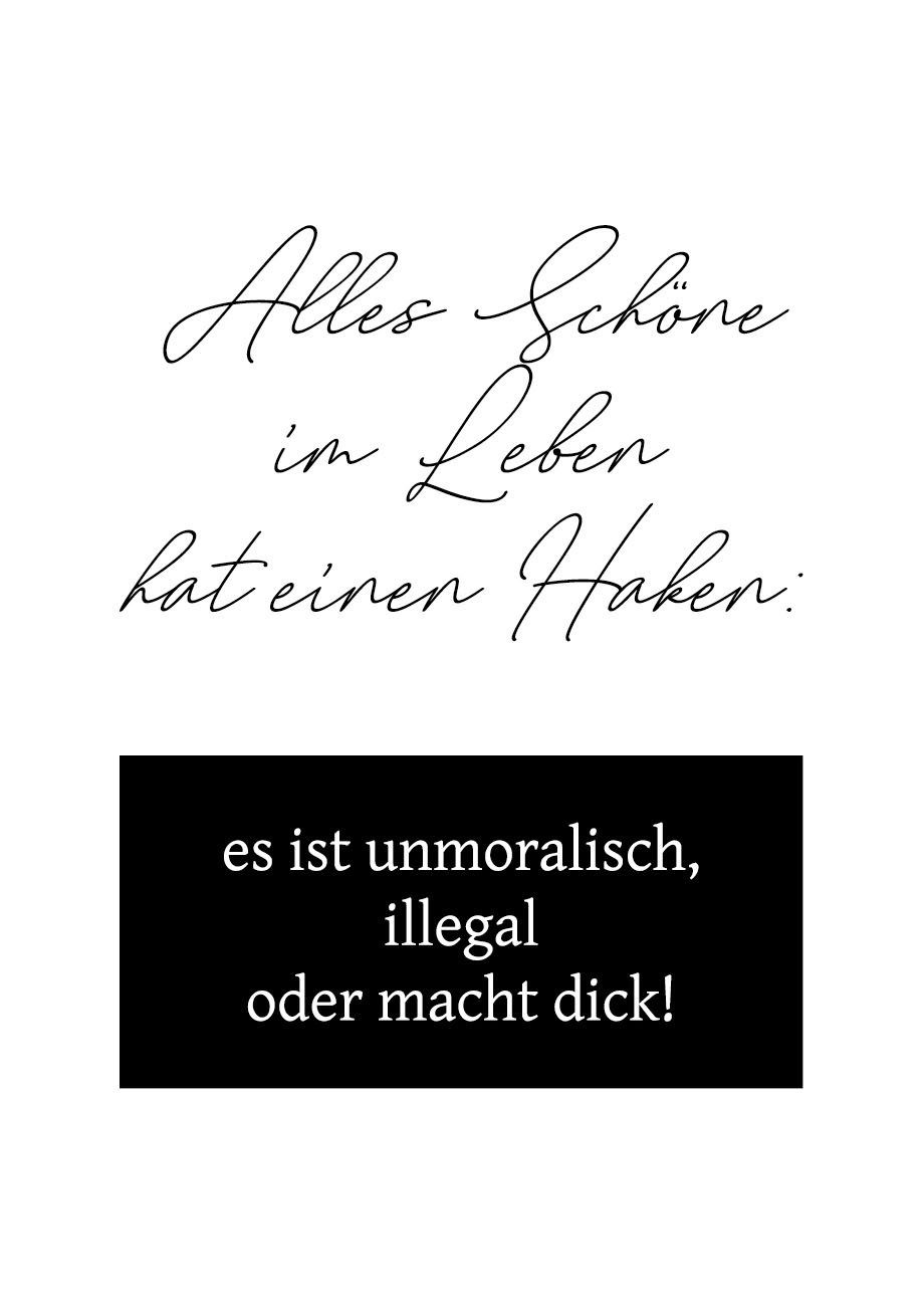 queence Wanddekoobjekt Alles Schöne im Leben hat einen Haken: ..., Stahlschild, Blechschild, Spruch, Witzig, Wanddeko, retro, 20x30cm