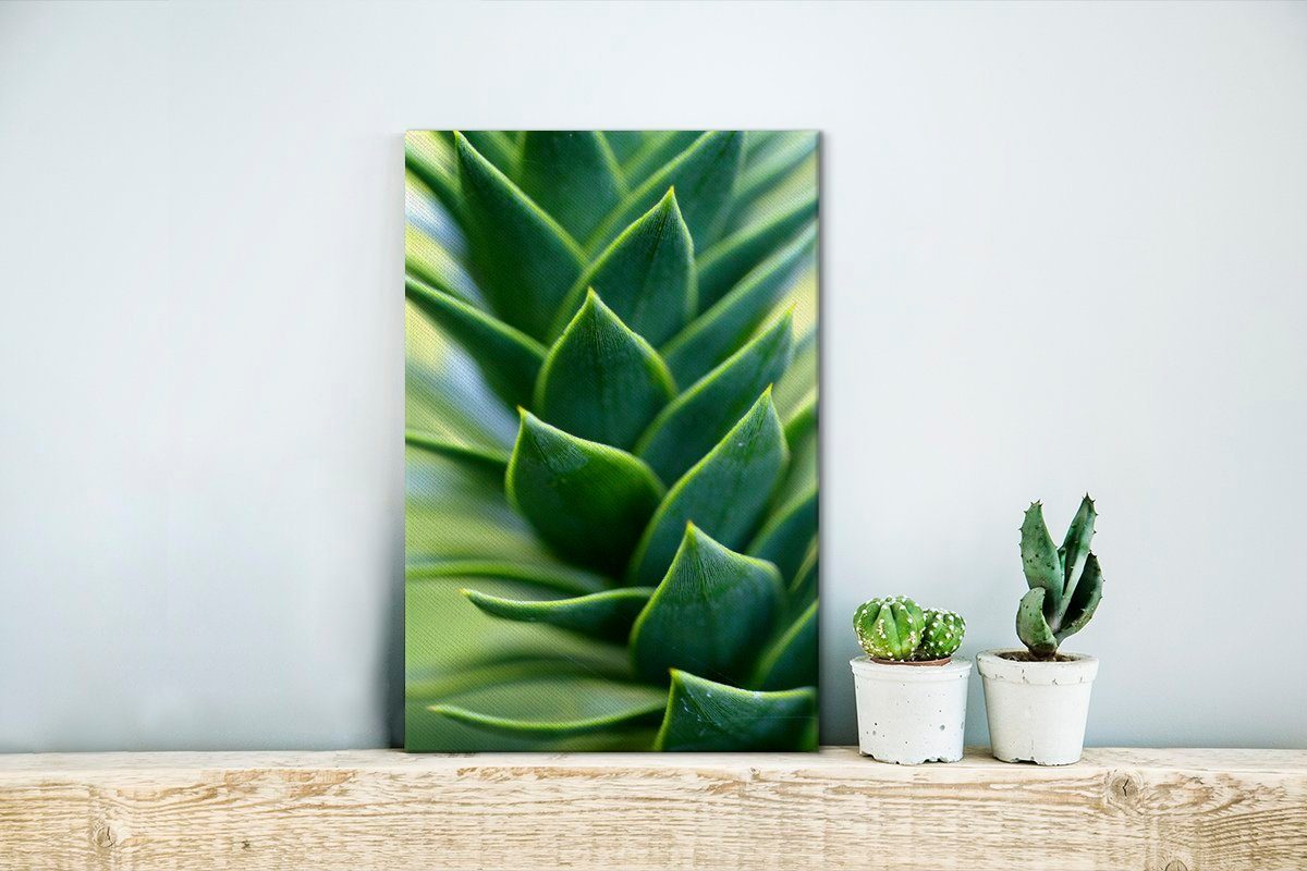 Leinwandbild Gemälde, Leinwandbild (1 der Zackenaufhänger, fertig OneMillionCanvasses® inkl. St), Nahaufnahme cm Schlangennadeln, 20x30 grünen bespannt