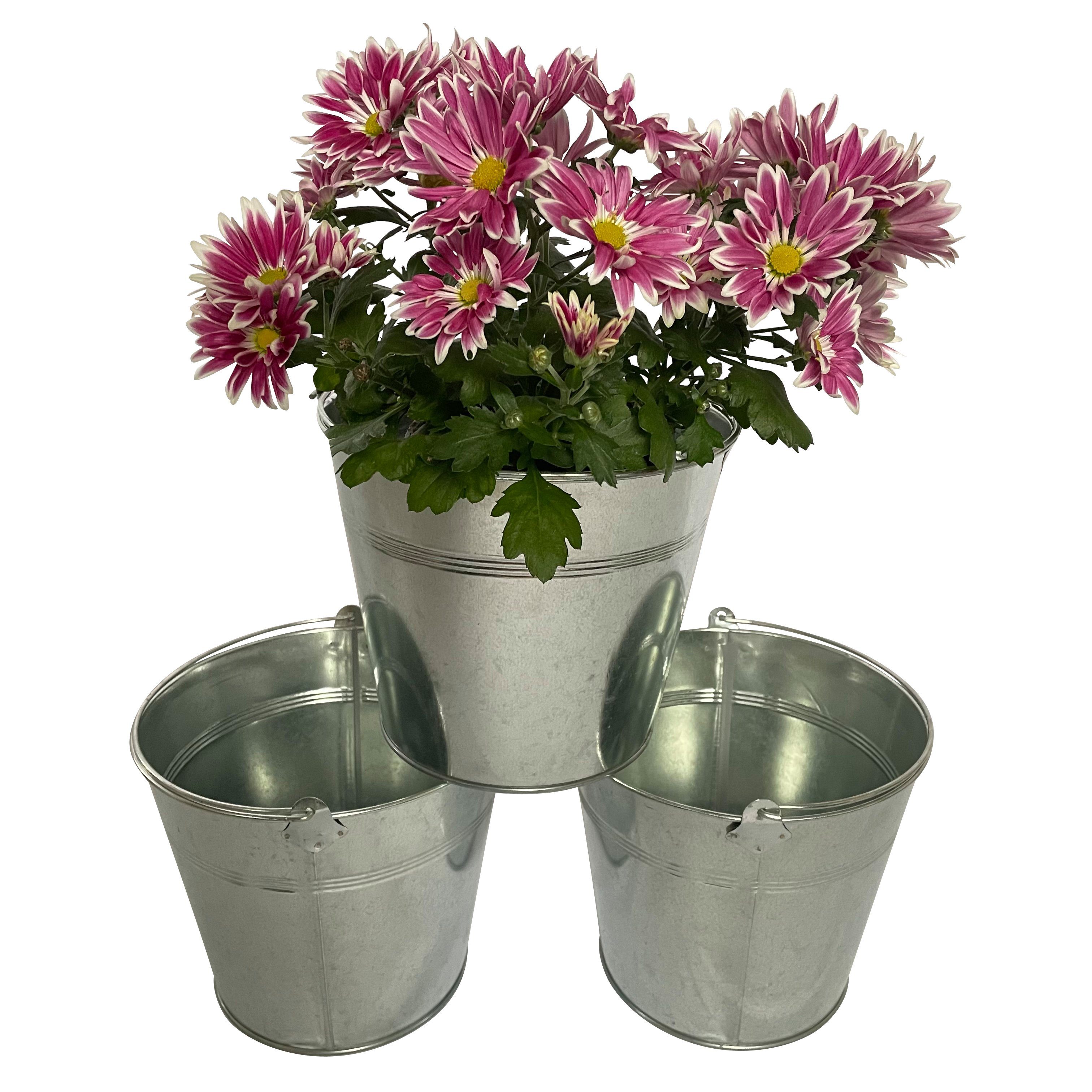 Online-Fuchs Blumentopf 3er Set Pflanzgefäße aus Zink Silber Metall Übertopf Kräuter P45, 19 x 19 x 16 cm, schlicht Henkel Eimer-Design Garten Terrasse Balkon