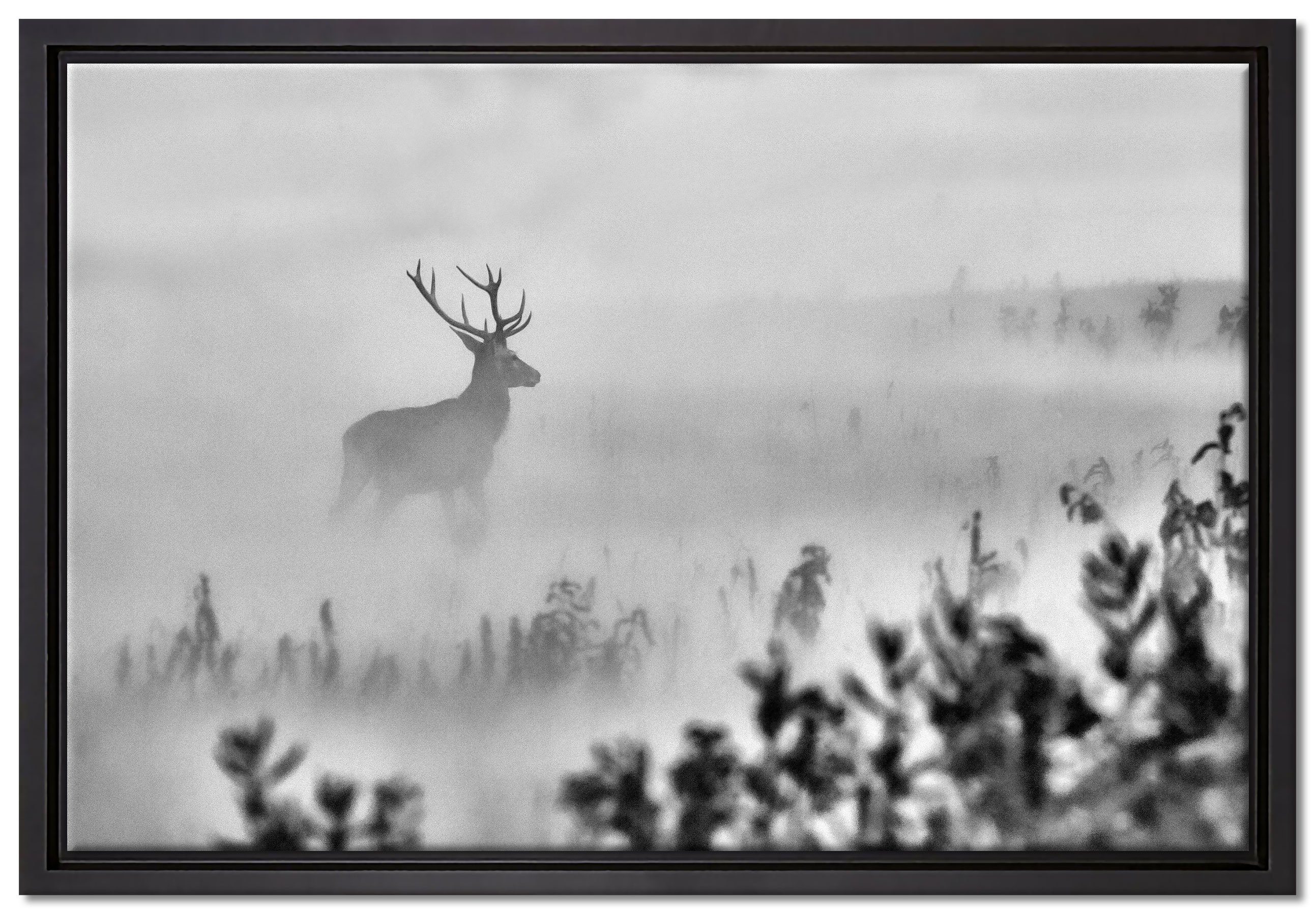 Pixxprint Leinwandbild Hirsch im Nebel, Wanddekoration günstig online kaufen