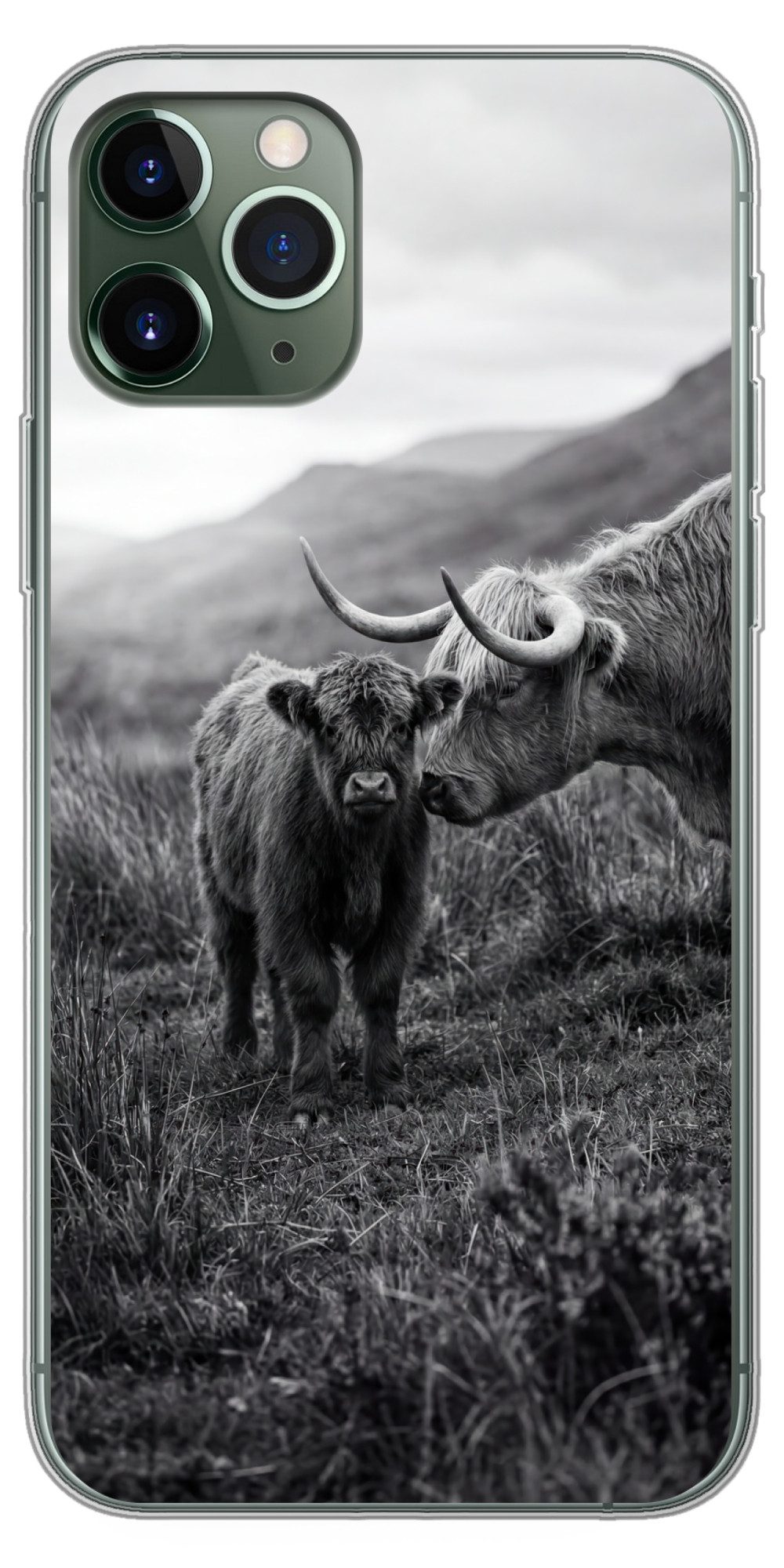 MuchoWow Handyhülle für Apple iPhone 11 Pro Schottischer Highlander - Kalb - Schwarz - Wei, Smartphone-Bumper, Print, Handy Schutzhülle Dünn