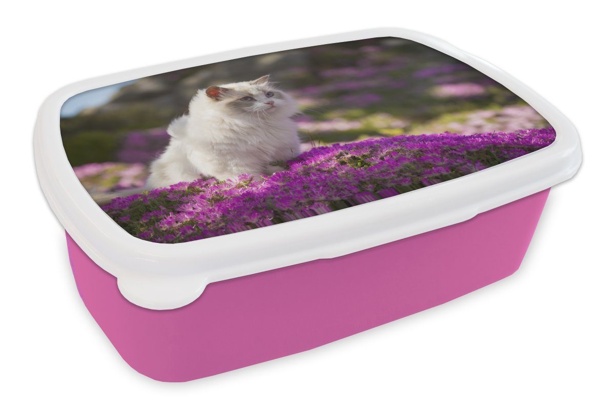 MuchoWow Lunchbox Eine weiße Stoffkatze sitzt in einem Bett aus rosa Blumen, Kunststoff, (2-tlg), Brotbox für Erwachsene, Brotdose Kinder, Snackbox, Mädchen, Kunststoff