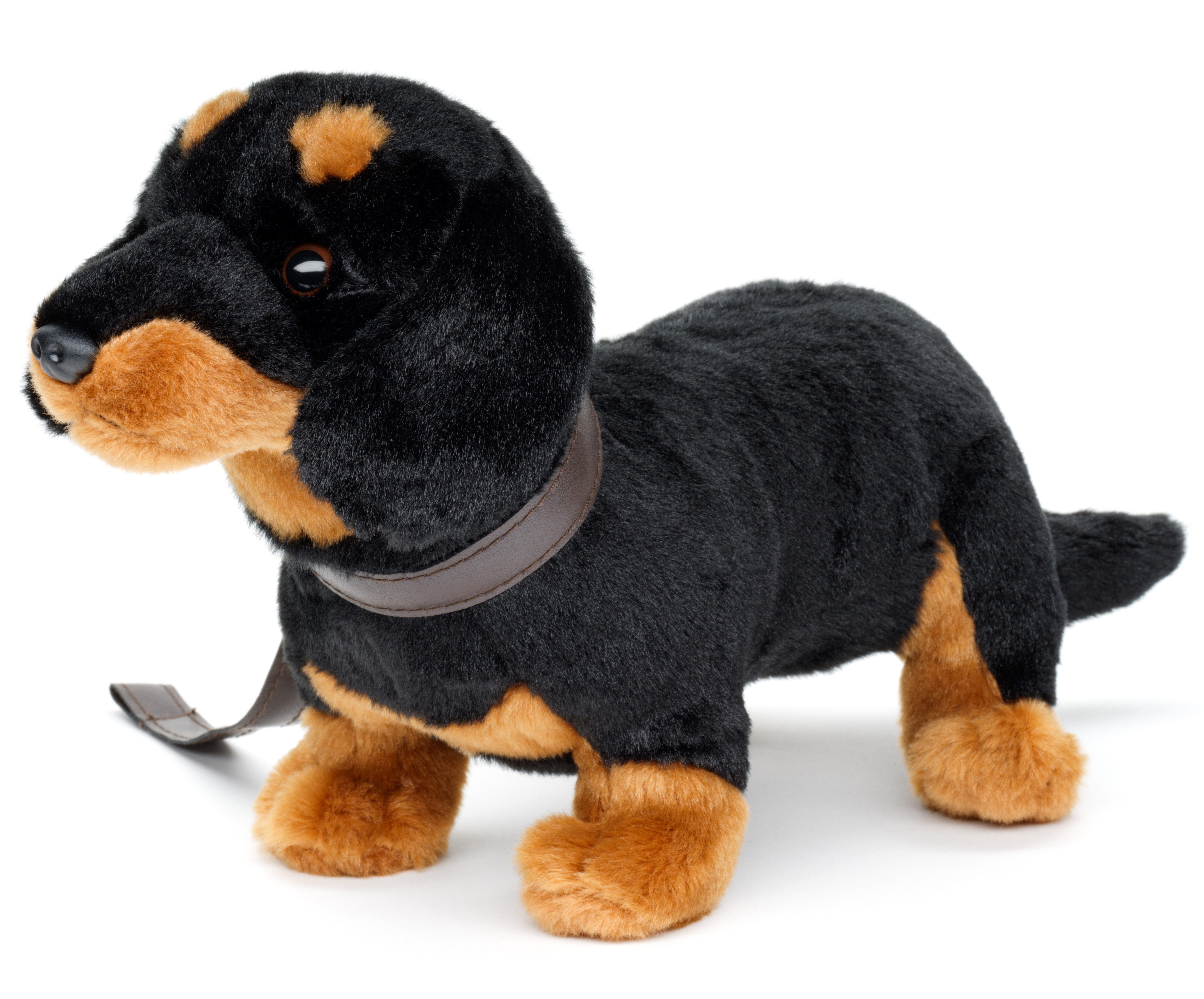 Uni-Toys Kuscheltier Dackel, stehend - mit / ohne Leine - 28 cm - Plüsch-Hund - Plüschtier, zu 100 % recyceltes Füllmaterial