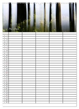 CALVENDO Wandkalender Mein Buchenwald - Familienplaner (Premium, hochwertiger DIN A2 Wandkalender 2023, Kunstdruck in Hochglanz)