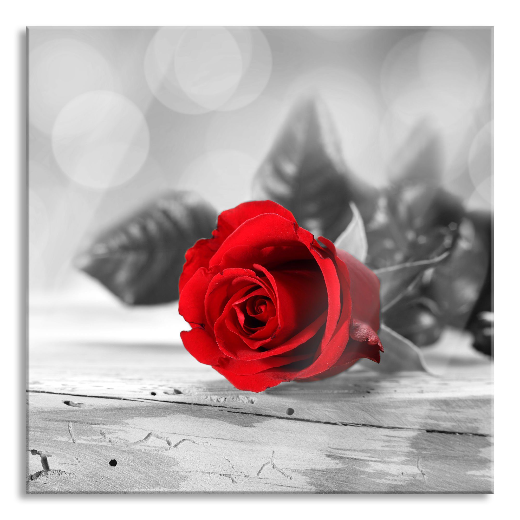 Glasbild Rose auf Holztisch