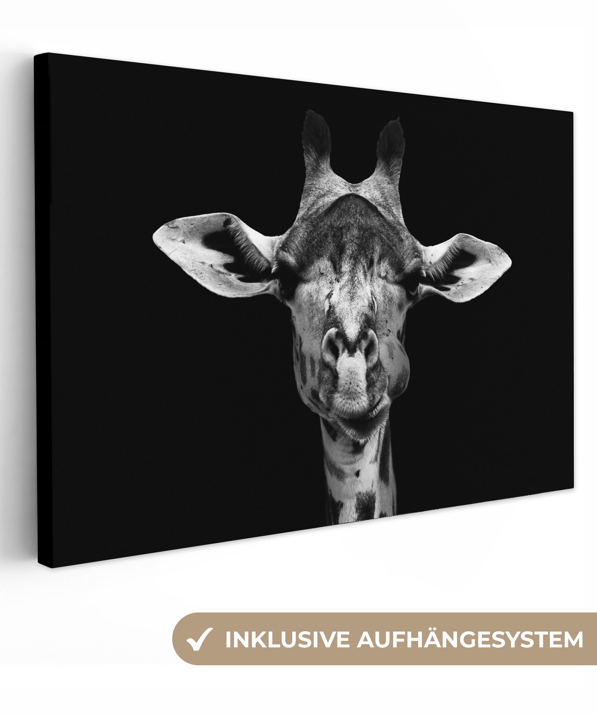 OneMillionCanvasses® Leinwandbild Giraffe - Tiere - günstig online kaufen