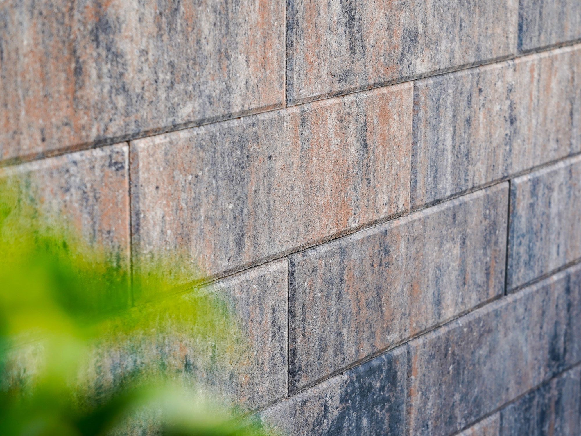 Diephaus Mauerstein MURENO MAUER MUSCHELKALK 40/20/14 CM PE2