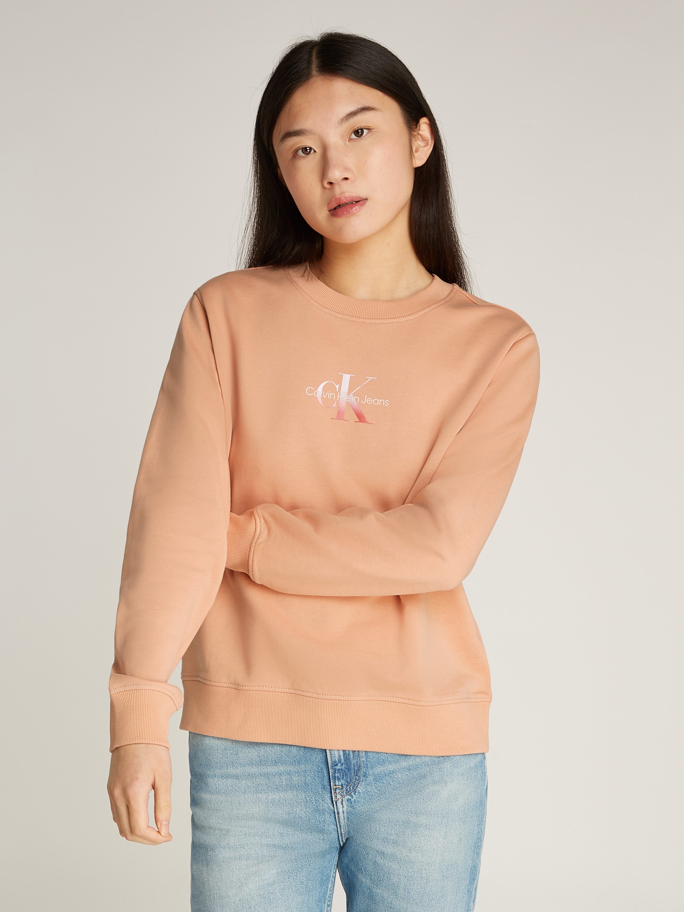 Sweatshirt GRADIENT MONOLOGO CREWNECK