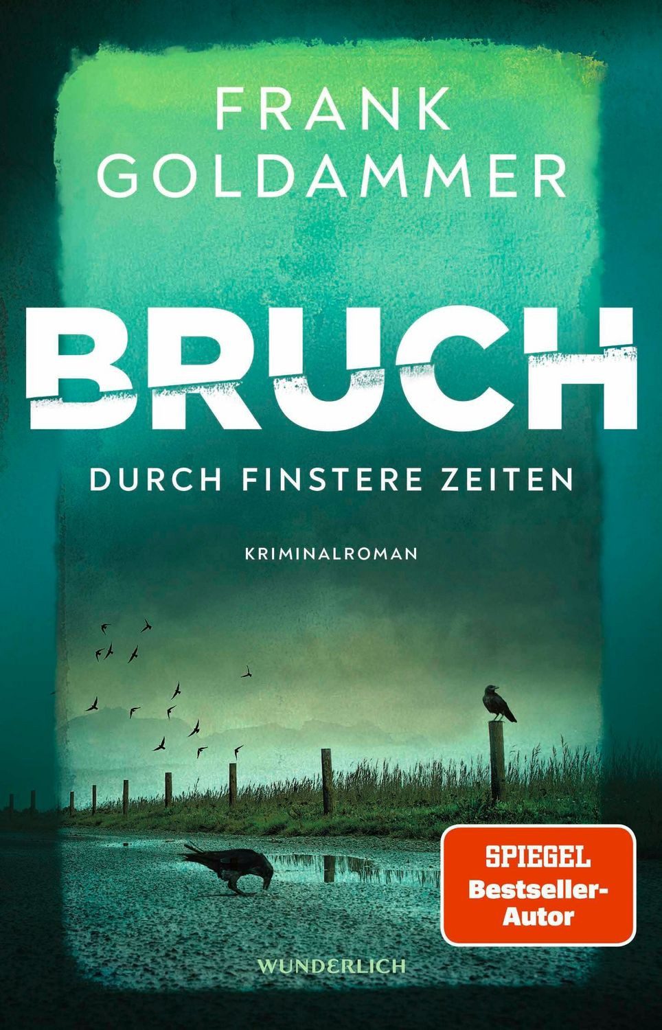 Bruch: Durch finstere Zeiten / Frank Goldammer