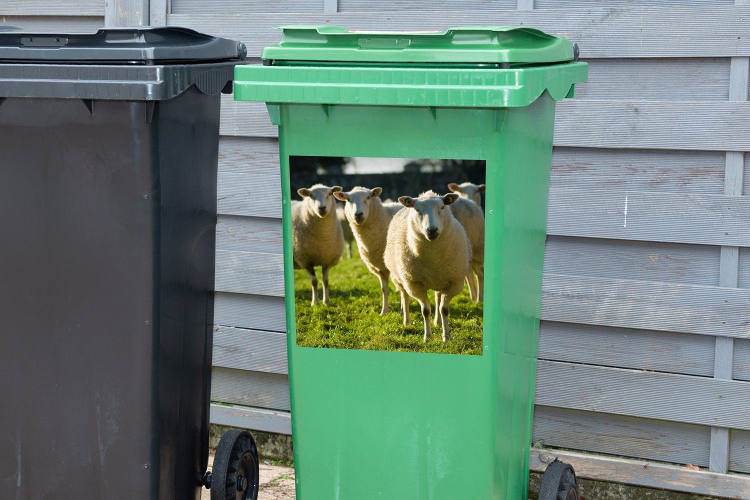 Mülltonne, Wolle Schafe St), - (1 Wandsticker Sticker, - MuchoWow Abfalbehälter Tiere Container, Mülleimer-aufkleber,