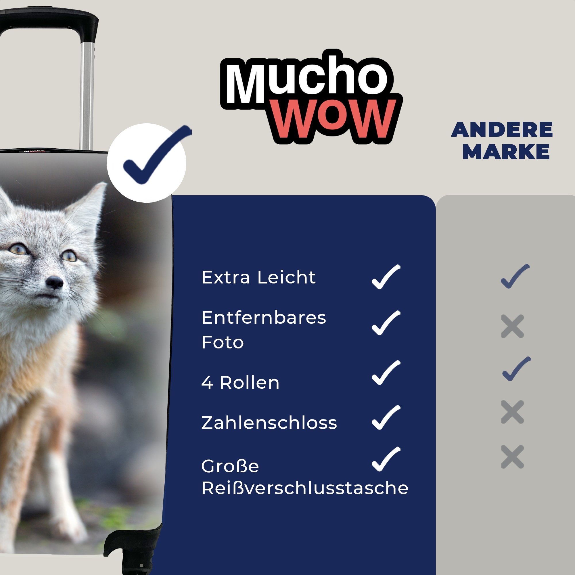 MuchoWow Handgepäckkoffer Fuchs Ferien, 4 Reisekoffer Handgepäck Reisetasche für Trolley, Rollen, mit - Baum, Makro - rollen