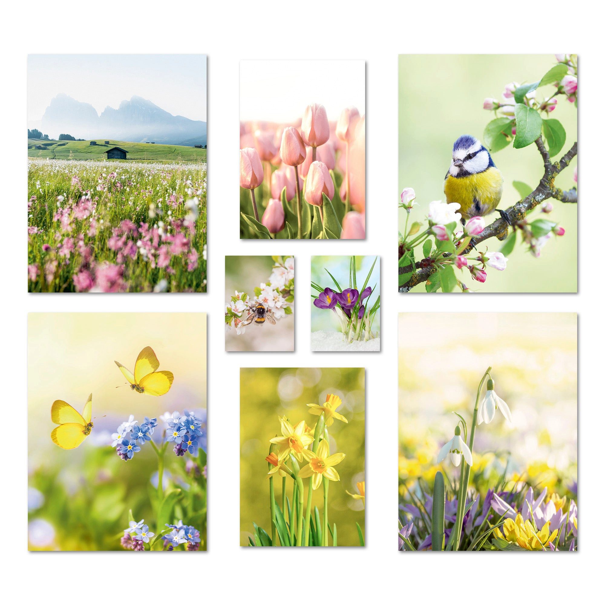 ARTFAVES Bilder-Collage Poster Set Frühlingserwachen I mehrteilige Bilderwand I Wandbilder Frü, (Wandbilder modern, 8 St)