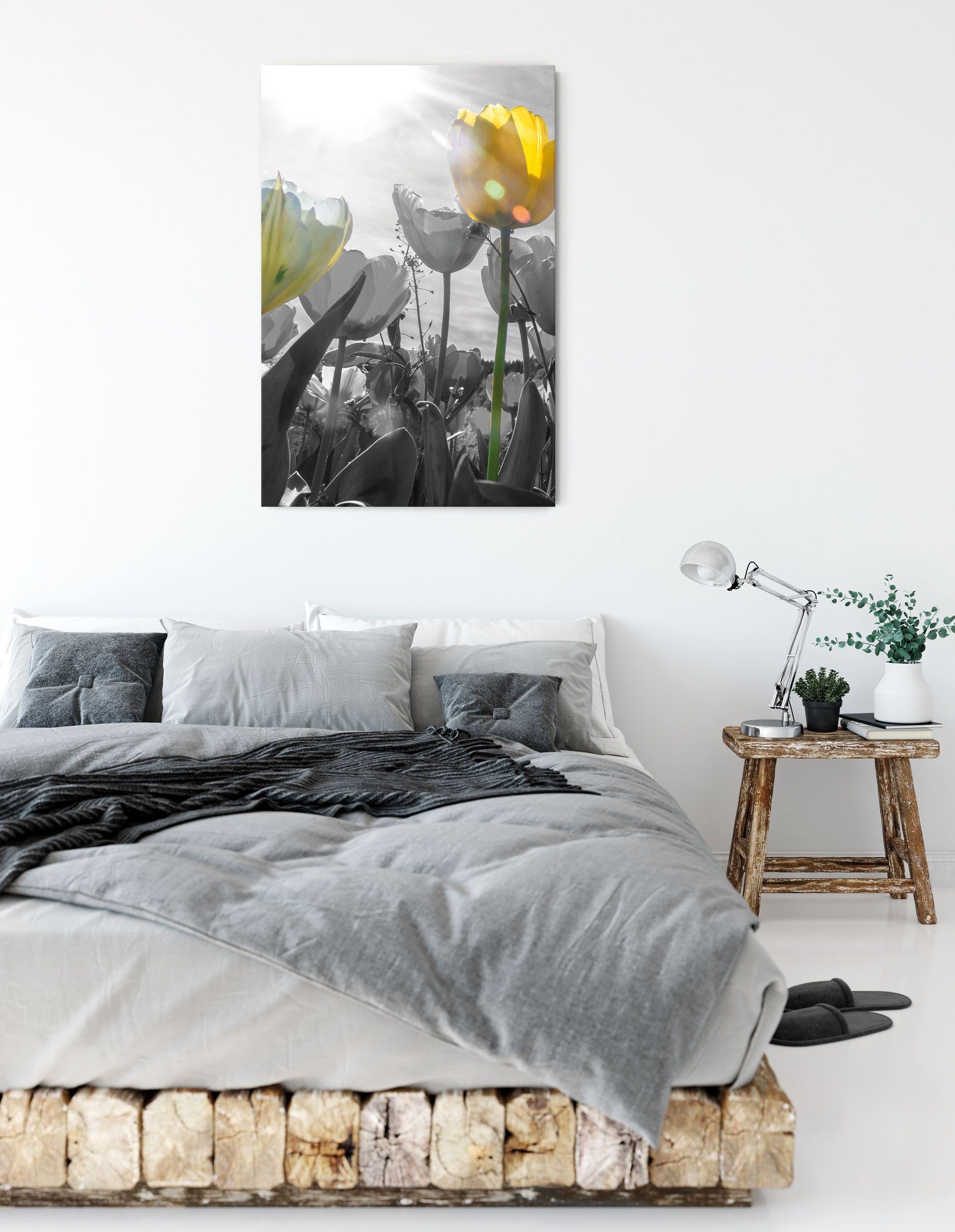 Zackenaufhänger Pixxprint Tulpenwiese inkl. Leinwandbild wunderschöne schwarz/weiß, fertig (1 bespannt, St), Leinwandbild Tulpenwiese wunderschöne schwarz/weiß