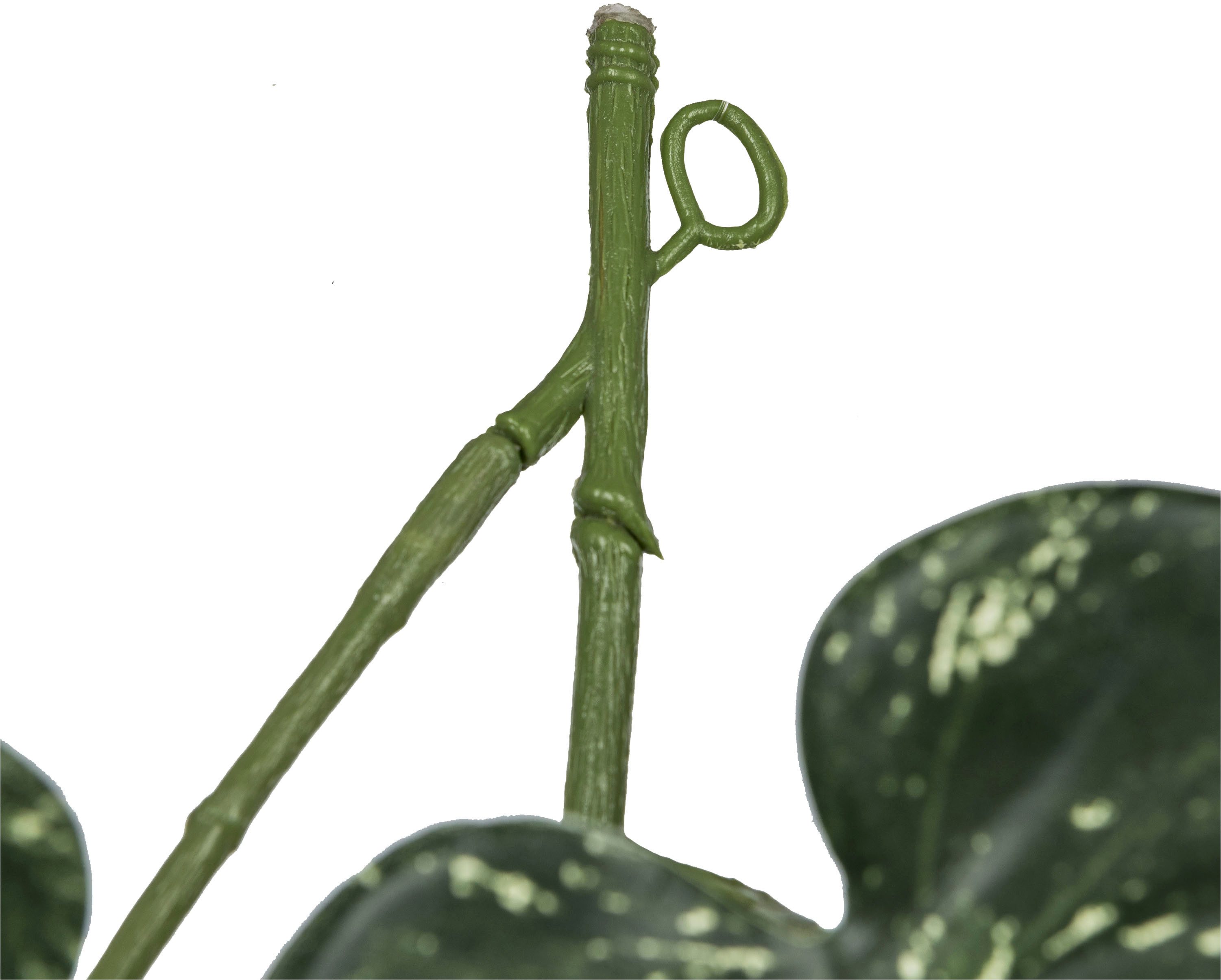 Kunstranke Splitphiloranke, Creativ green, Höhe 135 cm, mit üppigem Blattwerk