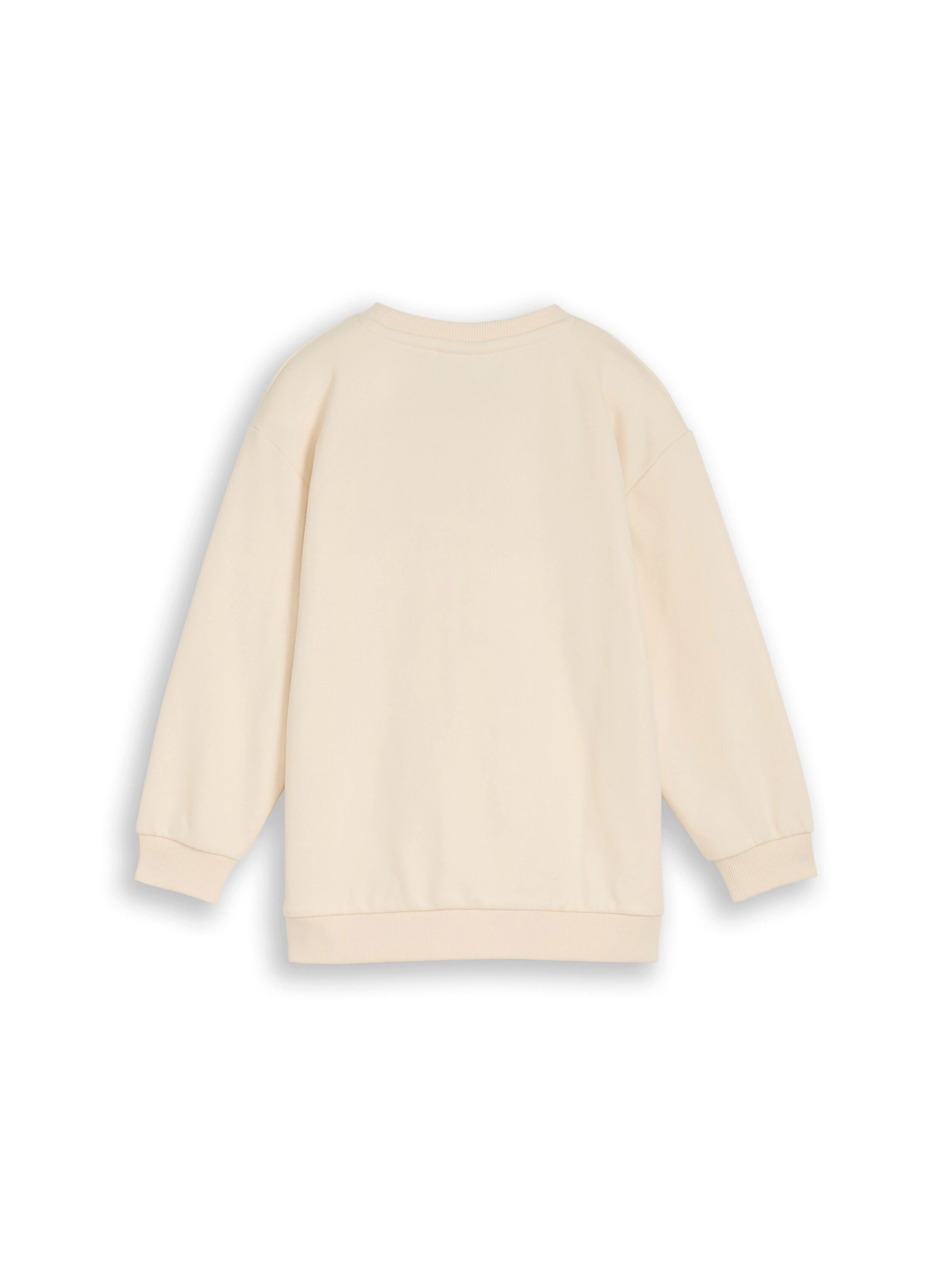 TOM TAILOR Sweatshirt mit Print