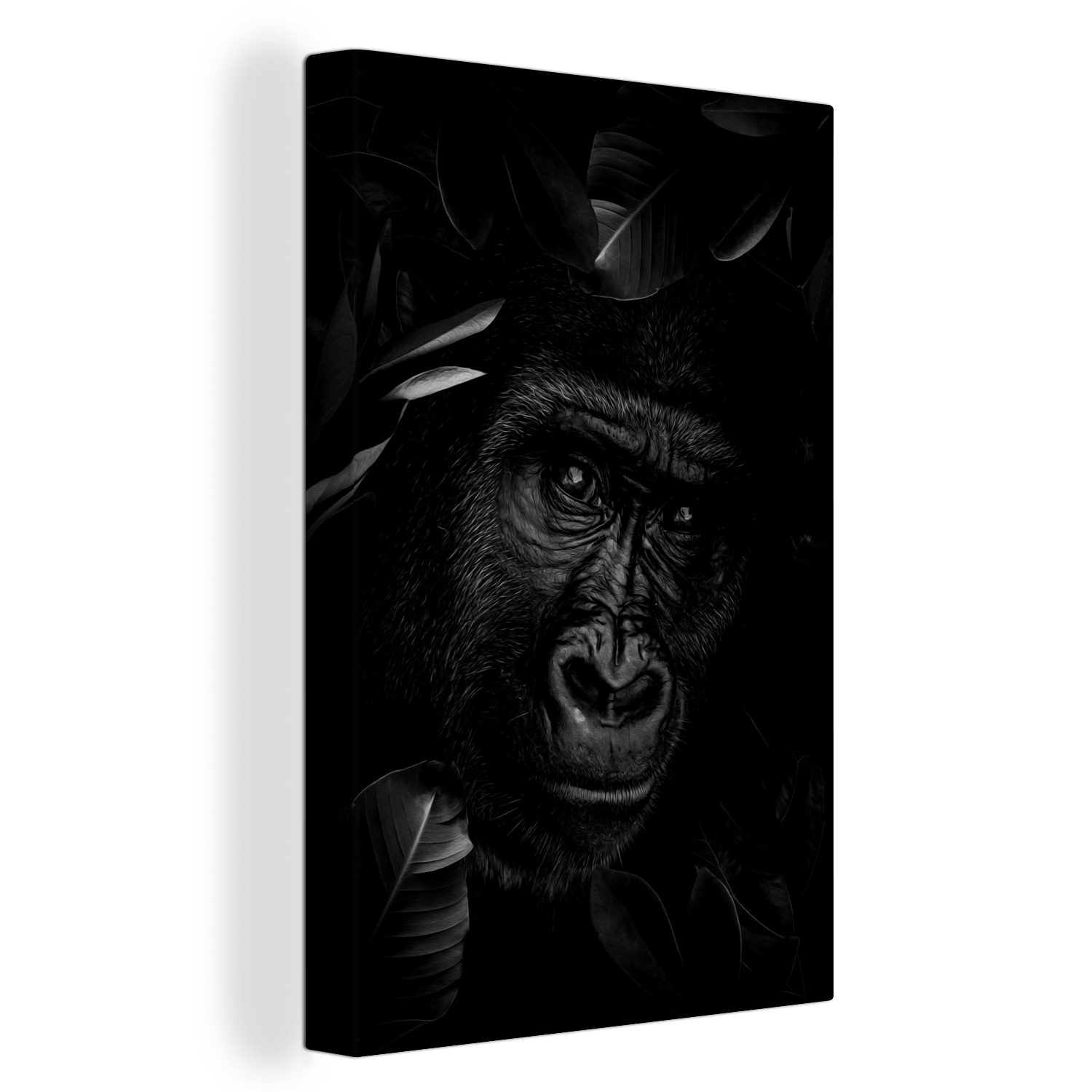 OneMillionCanvasses® Leinwandbild Botanischer Affe vor dunklem Hintergrund - schwarz und weiß, (1 St), Leinwandbild fertig bespannt inkl. Zackenaufhänger, Gemälde, 20x30 cm