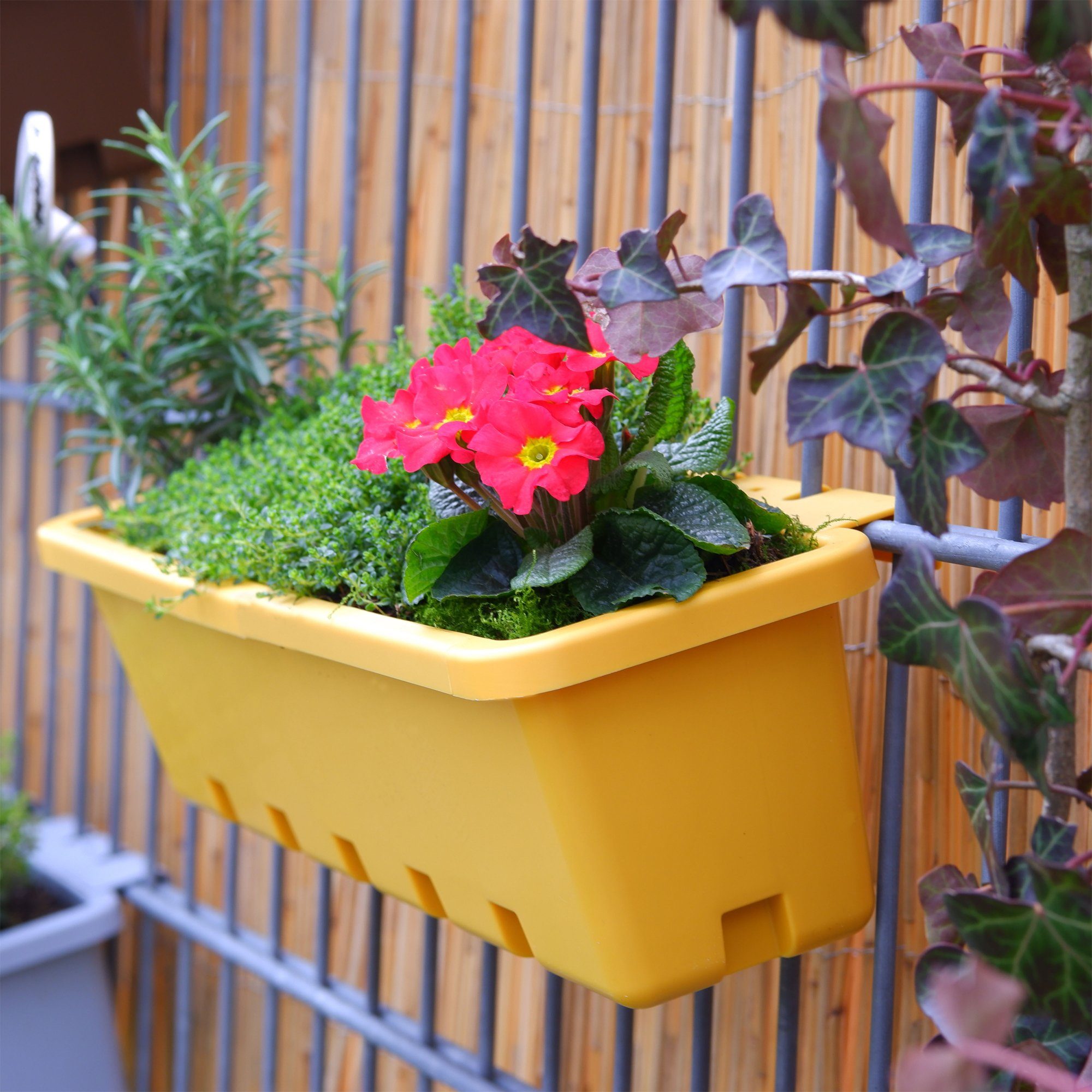 GREENLIFE® Blumenkasten GreenLife Blumenkasten Zwischenboden 3 Stück, gelb, integrierter (3er komplett Kräuterbox Set), 