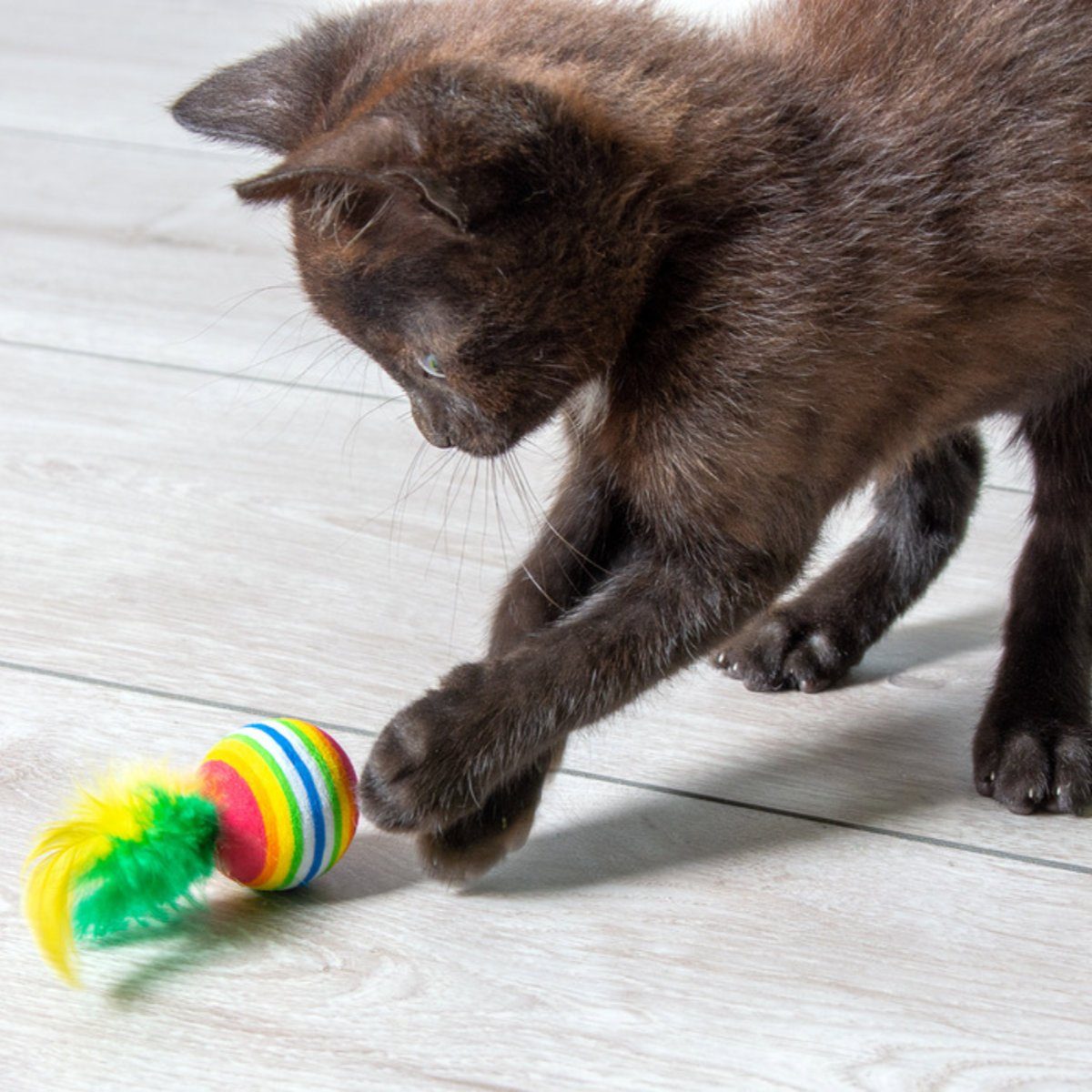 Karlie Tierball Regenbogenbälle mit Feder 4er Set