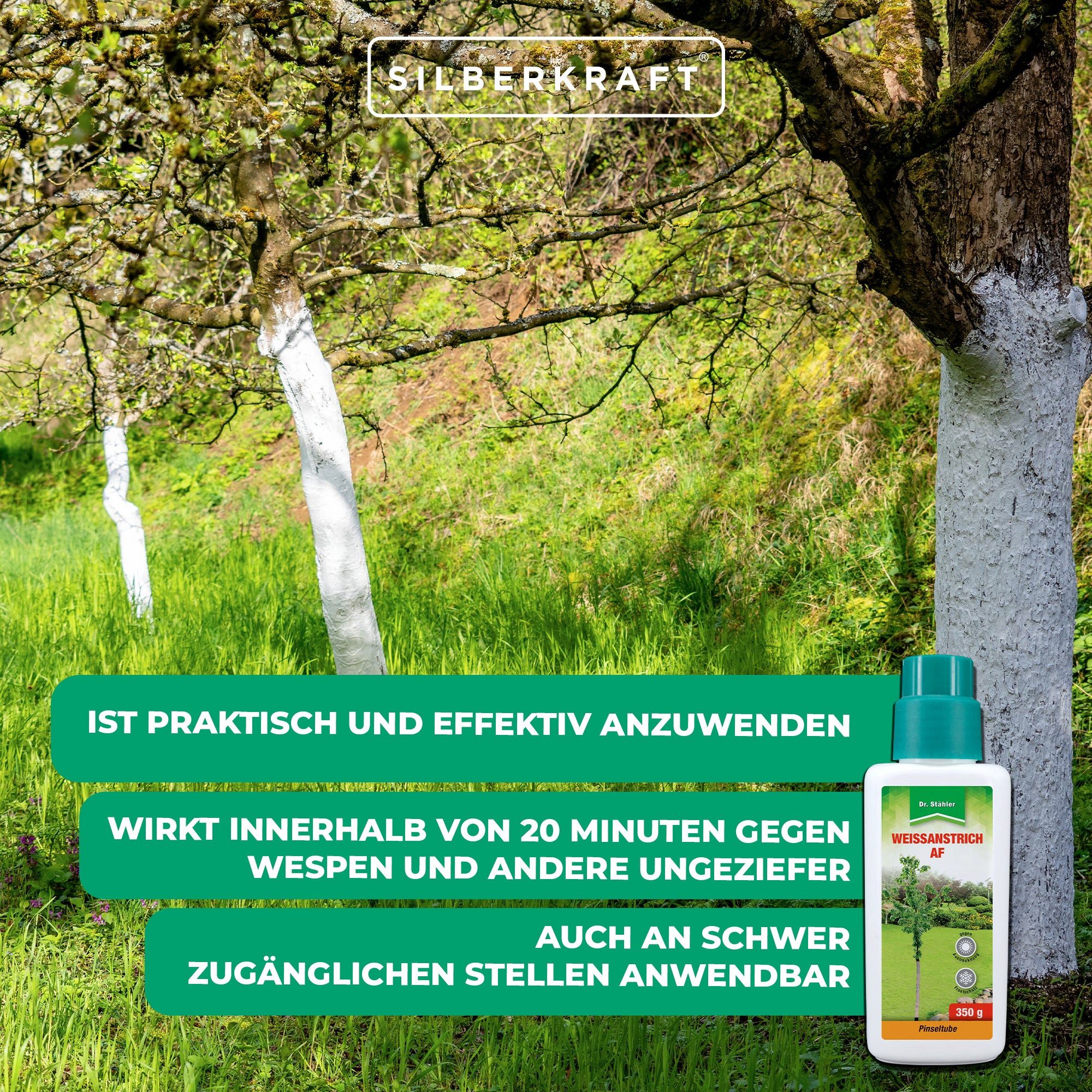 Dr. Stähler Baumanstrich Weißanstrich AF: Effektiver Schutz vor Frost- und Hitzeschäden, 350 g, Für Obstbäume & Ziergehölze geeignet, Schutzanstrich gegen Frostrisse, Sonnenbrand & Schädlingsbefall