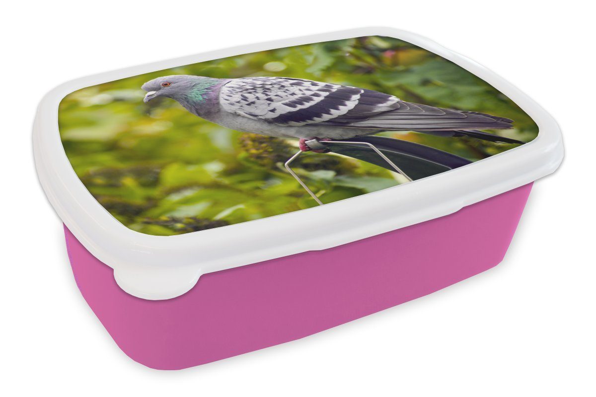 MuchoWow Lunchbox Eine bunte Wildtaube zwischen den grünen Blättern, Kunststoff, (2-tlg), Brotbox für Erwachsene, Brotdose Kinder, Snackbox, Mädchen, Kunststoff rosa