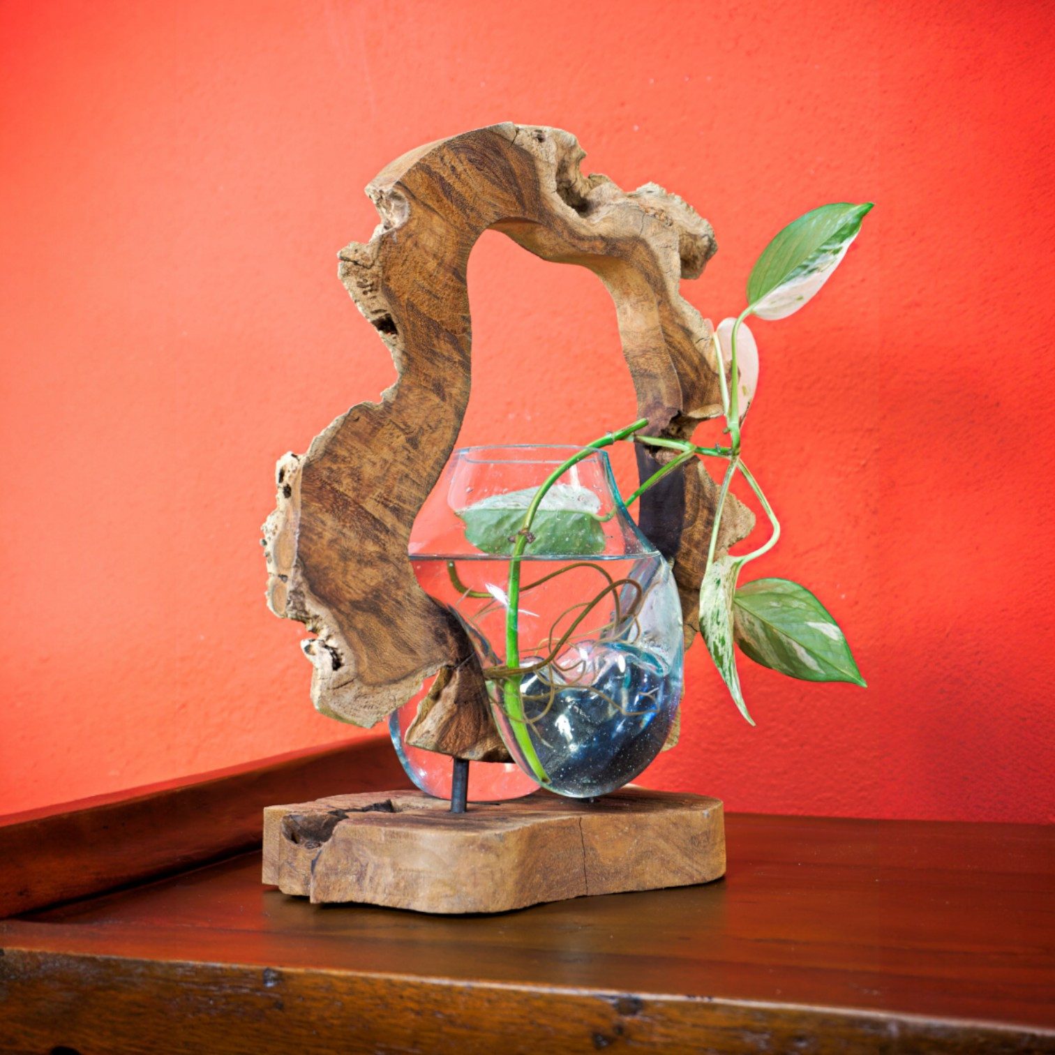 Kinaree Dekovase Geschmolzenes Glas in Baumscheibe (Glas + Baumscheibe), Glas, Naturprodukt, Handgefertigt, Wurzelholz, Einzelstücke