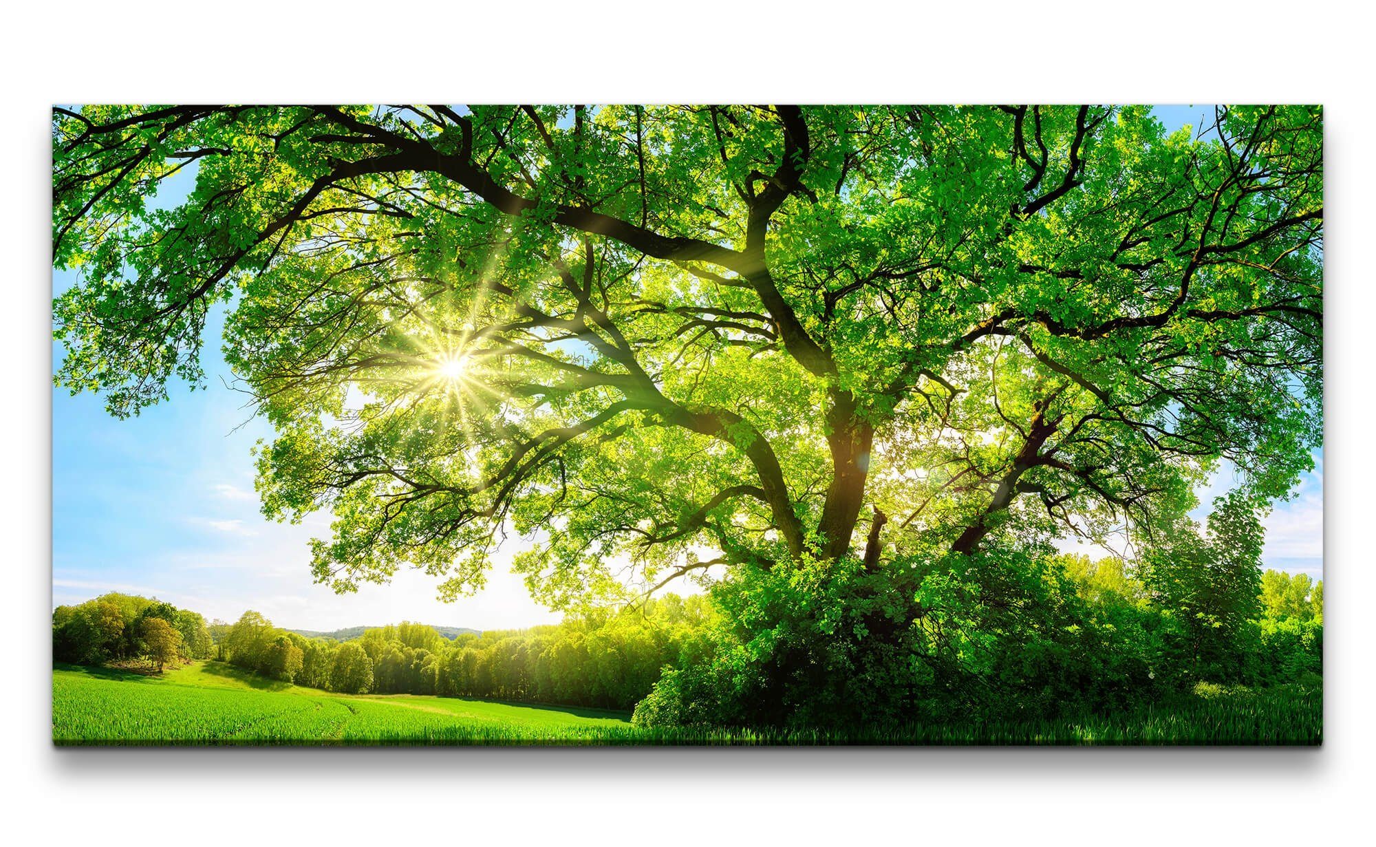 Sinus Art Leinwandbild, (1 St) günstig online kaufen