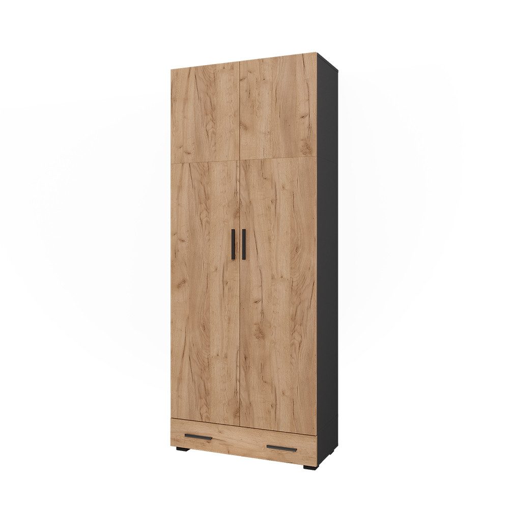 Vicco Aktenschrank Ingo, Anthrazit/Goldkraft Eiche, 80 günstig online kaufen