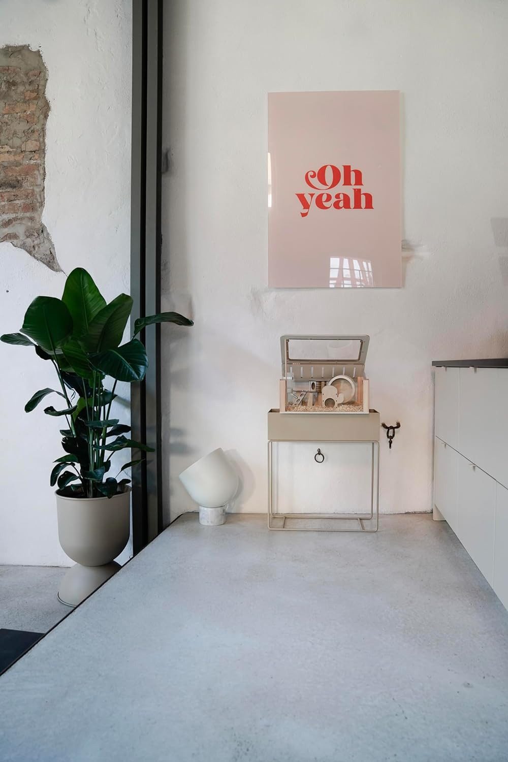 Roodz Kleintierkäfig Designer-Hamsterkäfig-Set – Holz & Acryl, inkl. Zubehör, 5-teilig